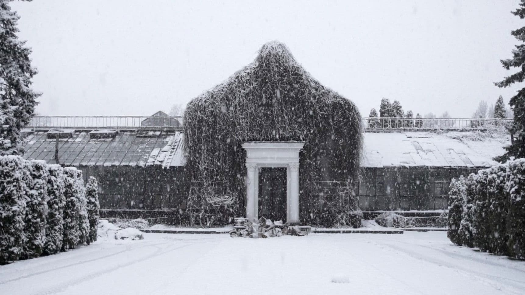 Історія Зимового саду