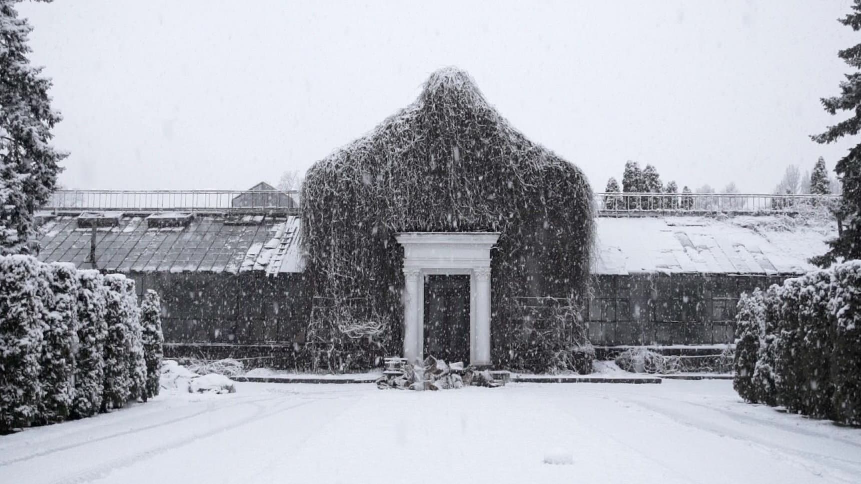 Історія Зимового саду