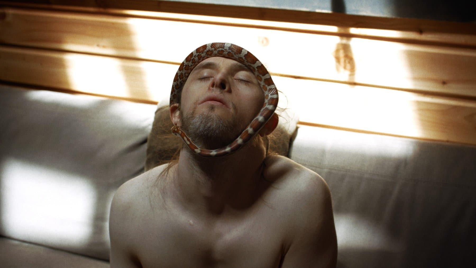 Théo et les métamorphoses