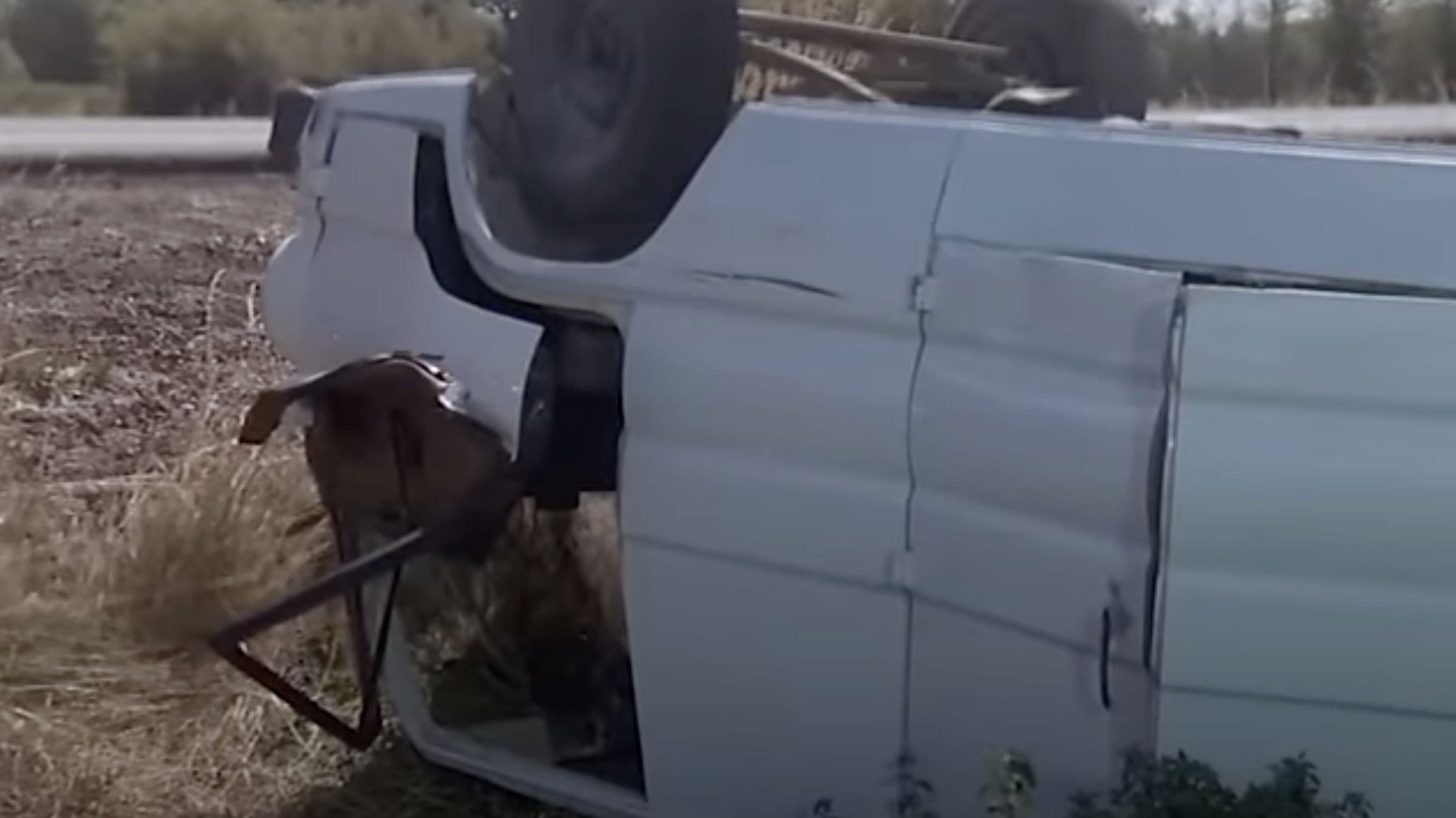 A Summer to Remember