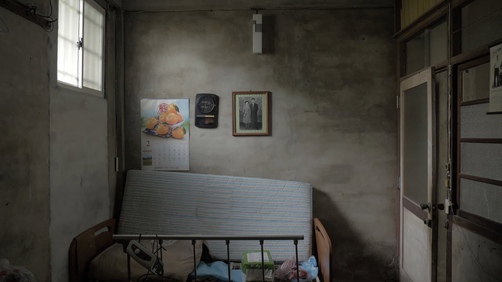 屋舍上的葉仔花