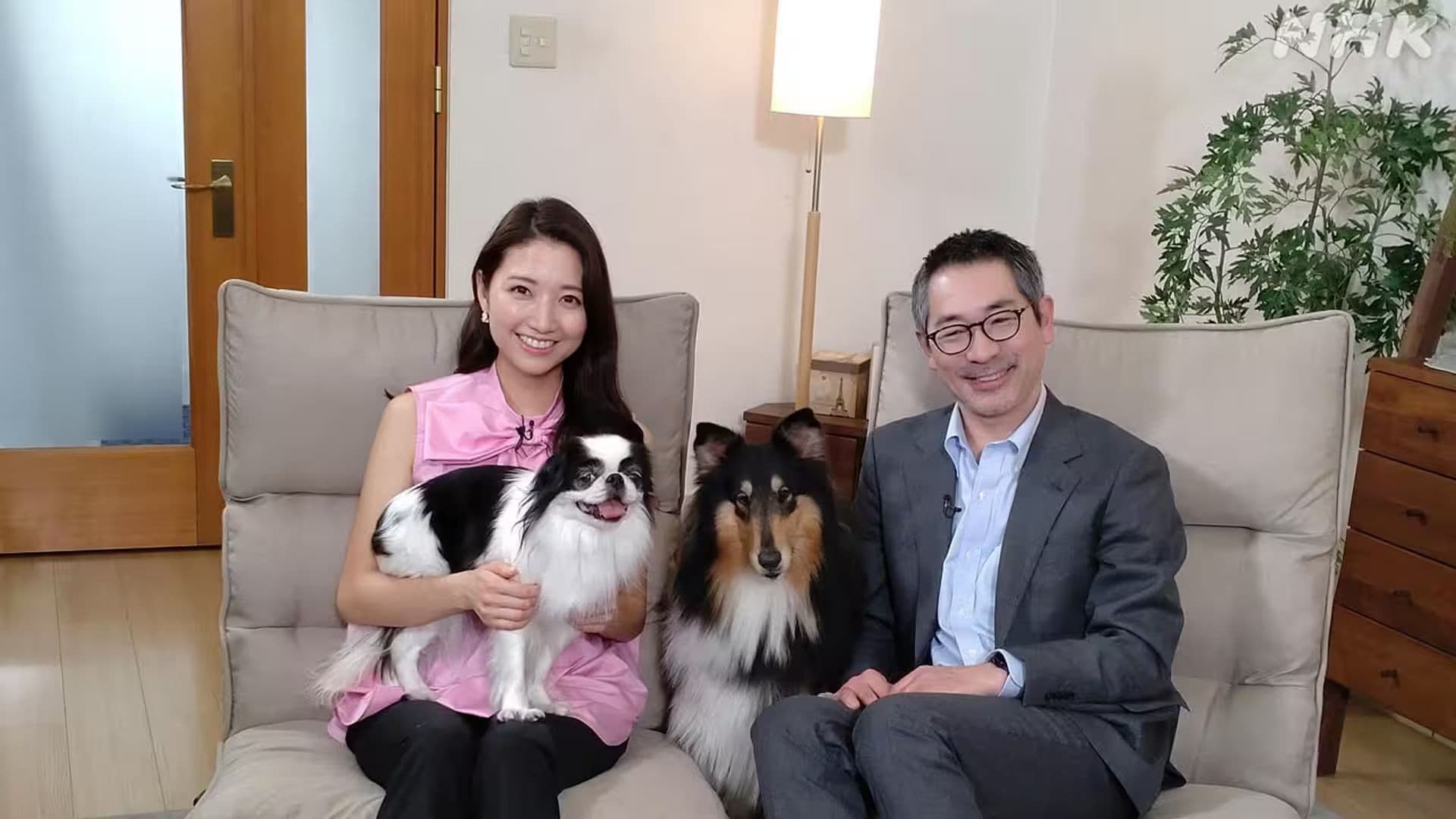 心おどる　犬ワールド