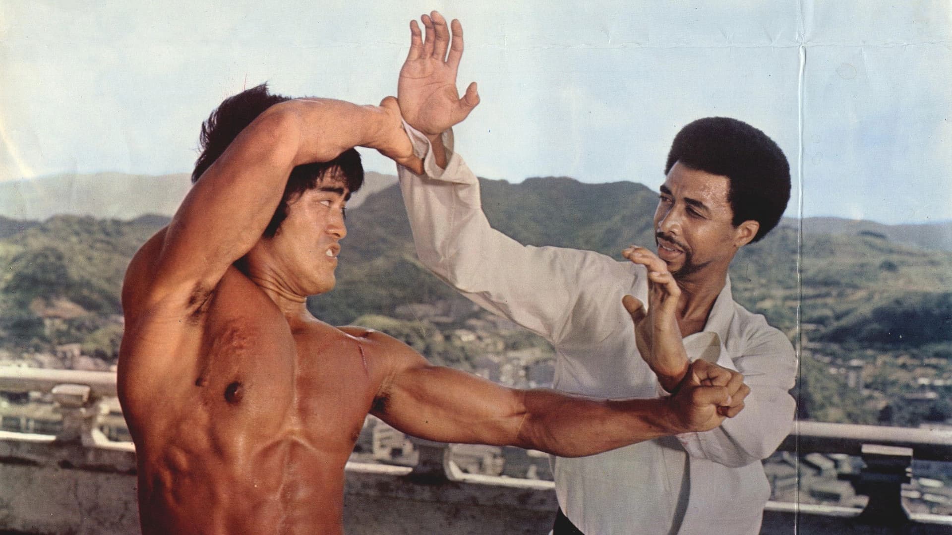 唐山虎威殲殺手