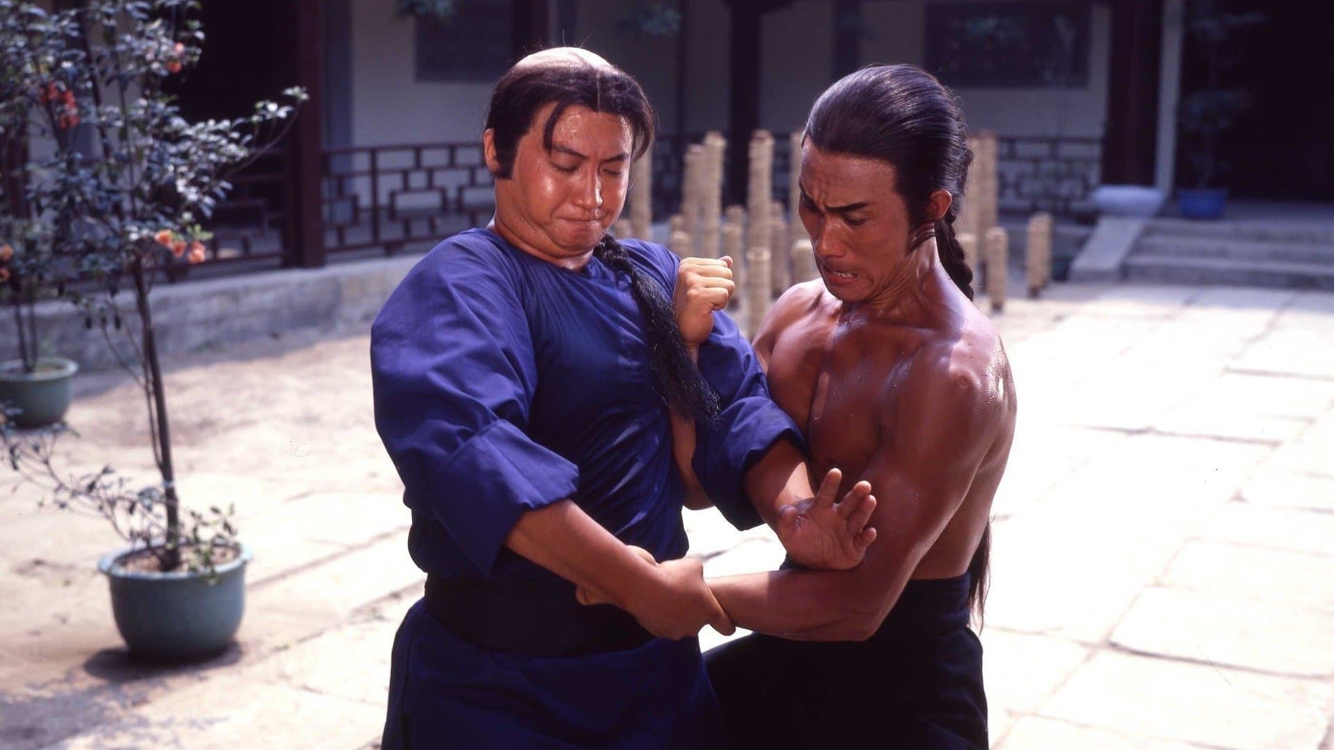 贊先生與找錢華