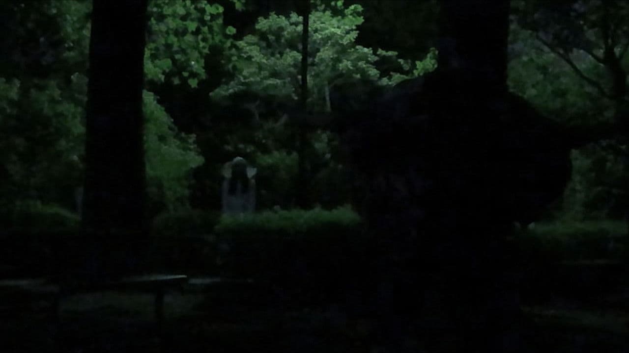 ほんとにあった！呪いのビデオ99