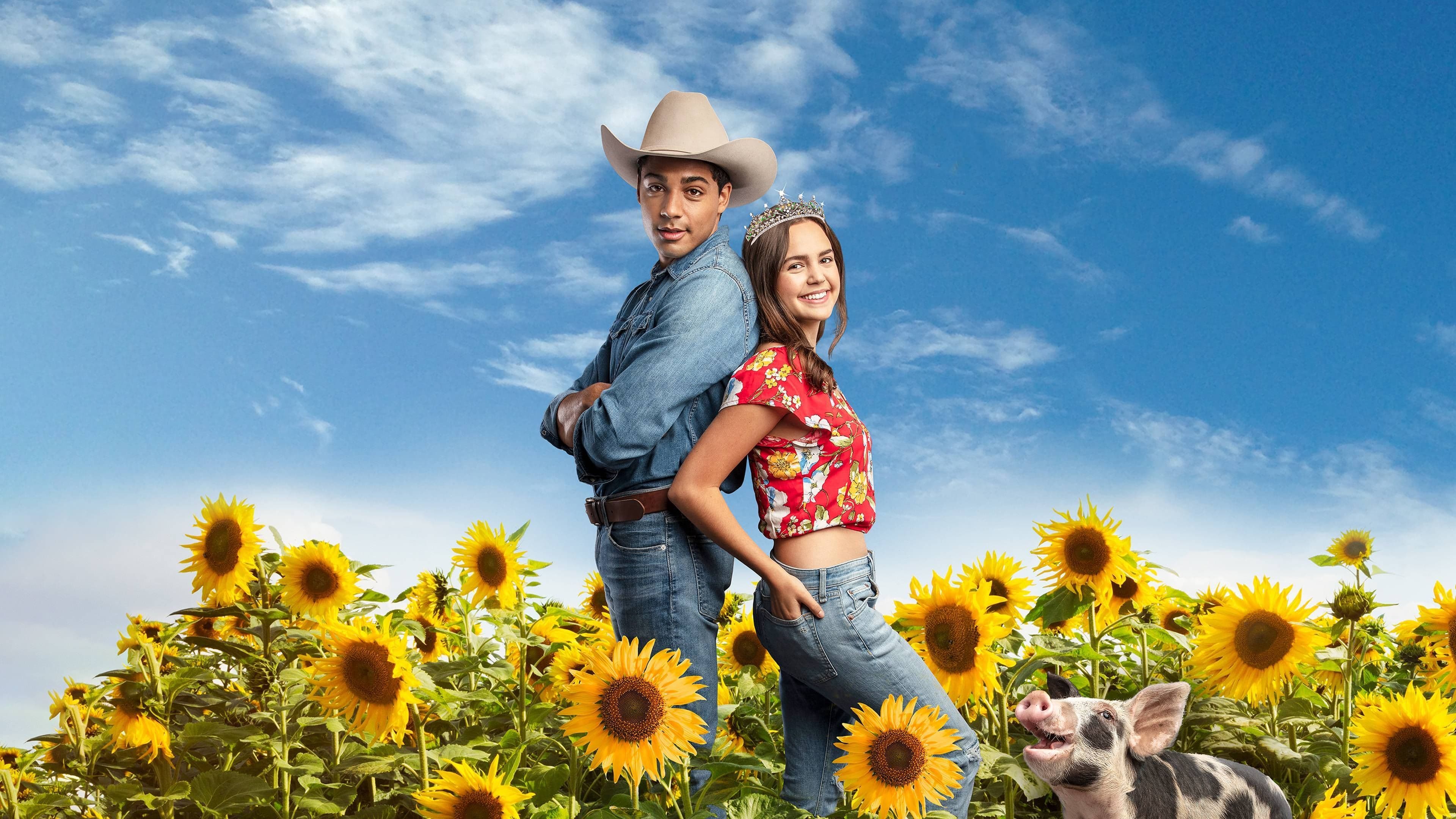 Povestea Cenușăresei: Lovită de stele