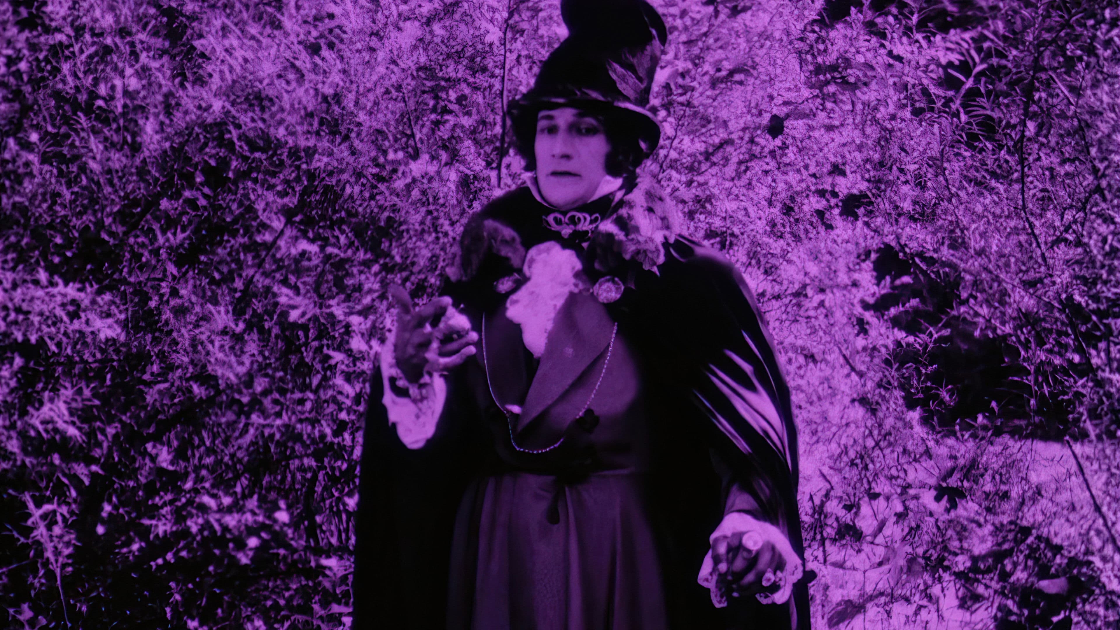 Les Aventures de Robert Macaire