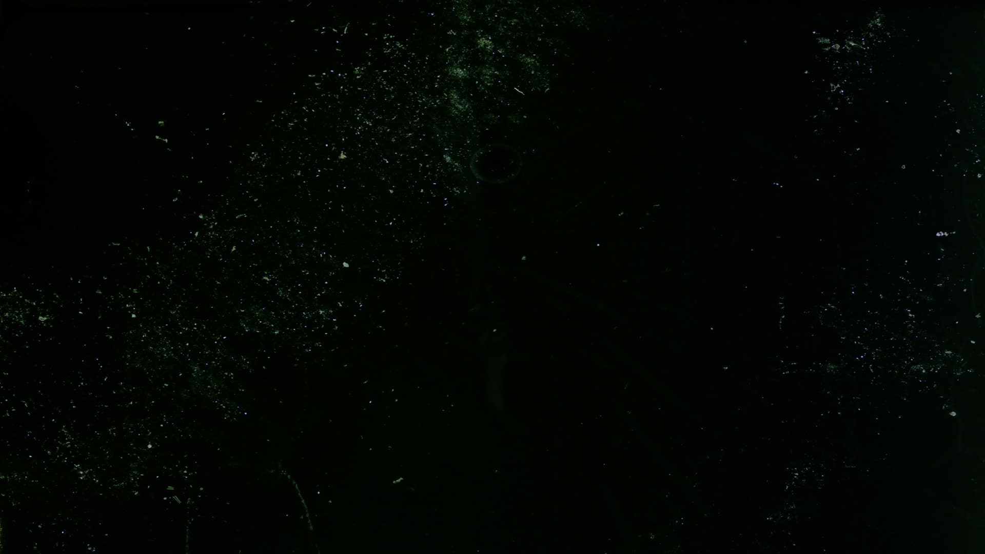 Here are some Images