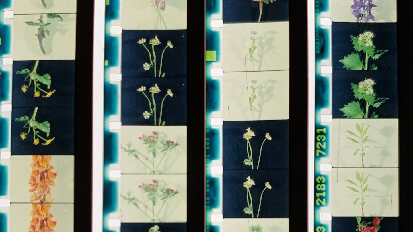 Lover, Lovers, Loving, Love