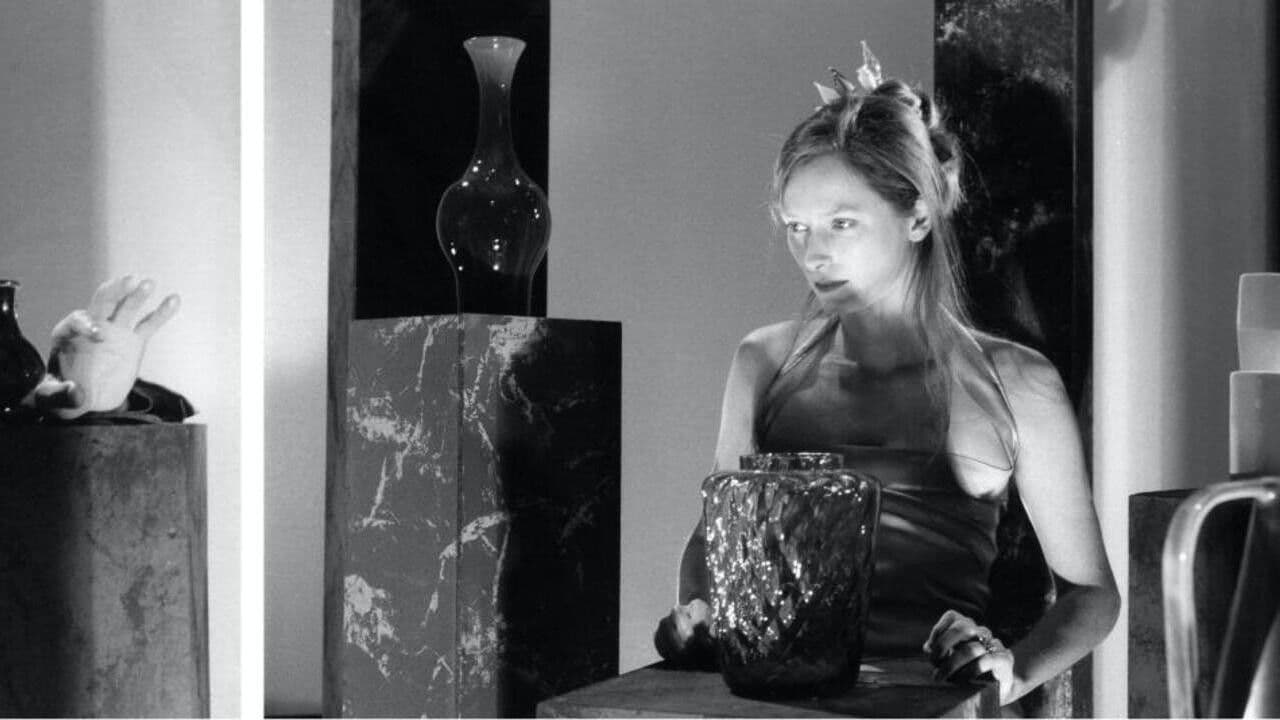 The Party: Nature Morte