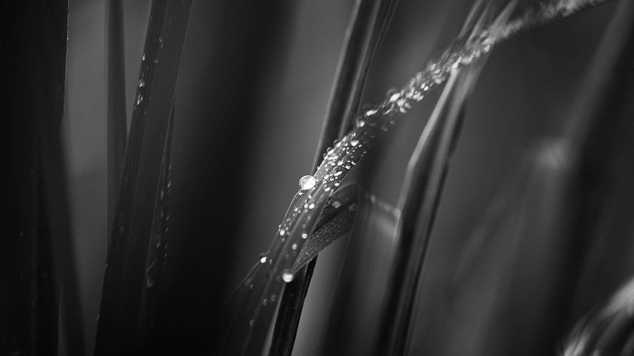 Asedio en la Montaña