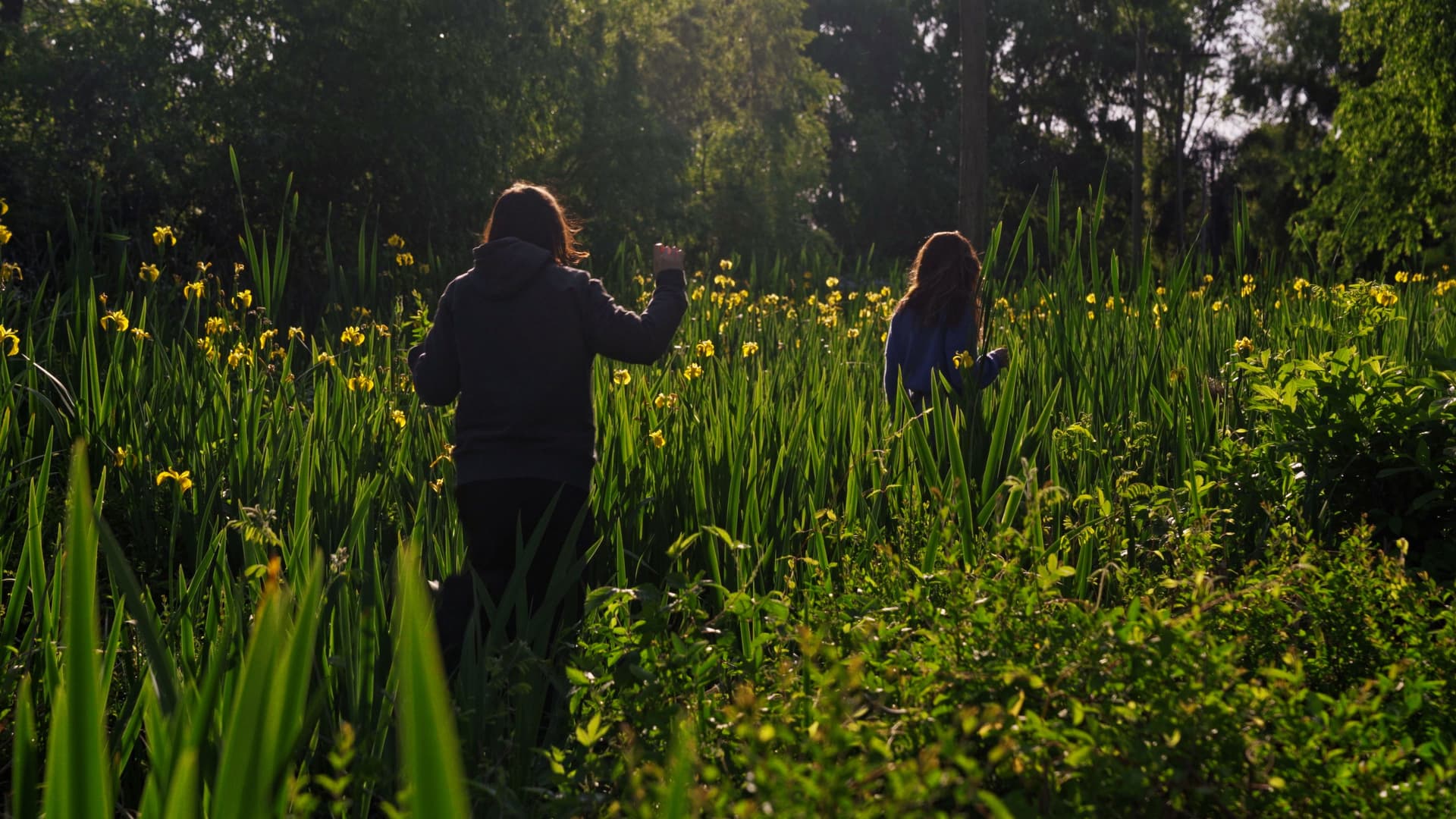 Las aguas tornan magenta