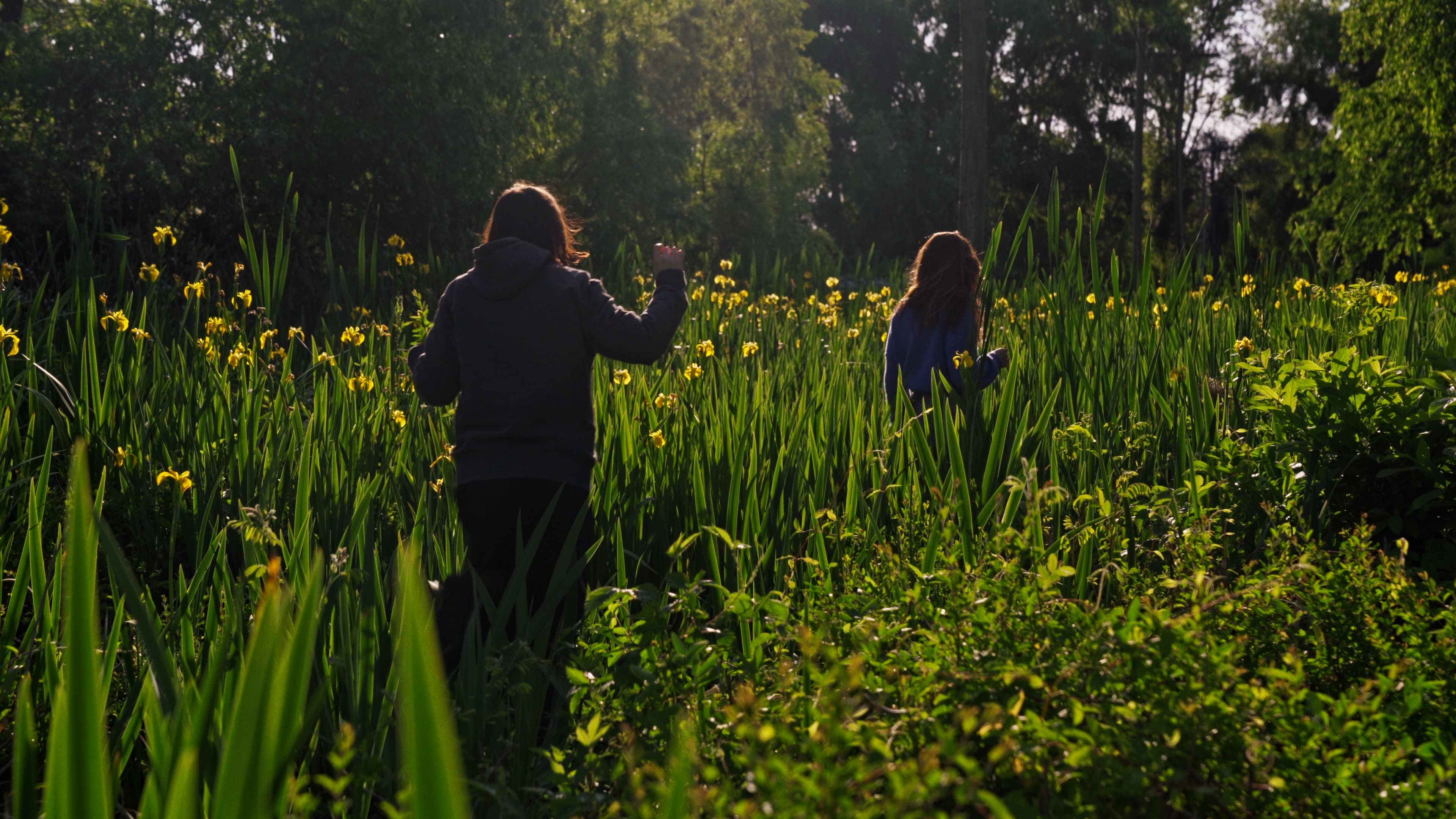 Las aguas tornan magenta