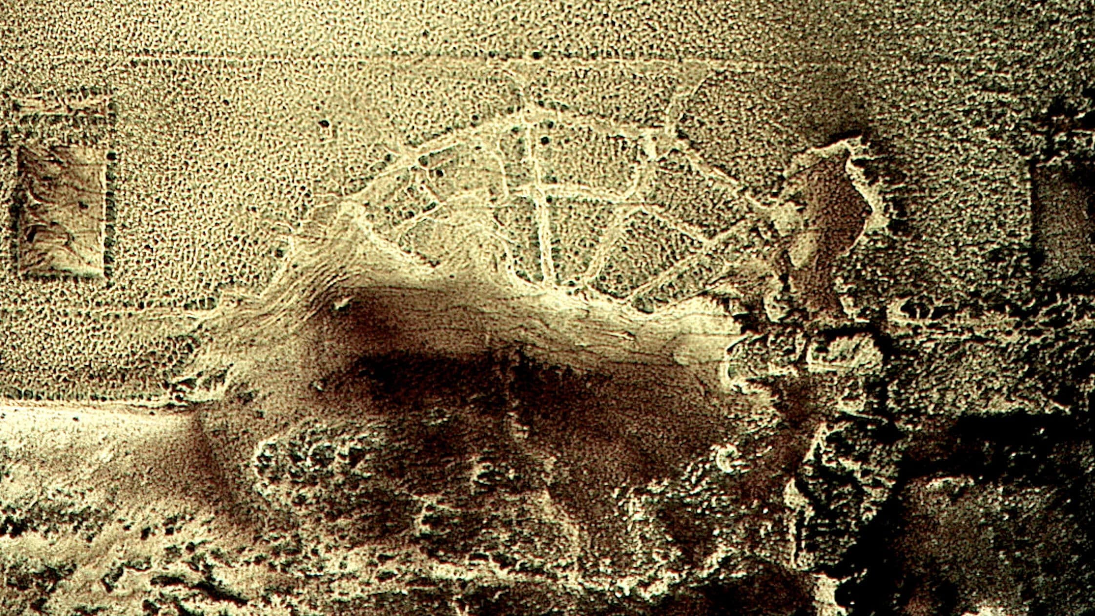 The Emblazoned Apparitions