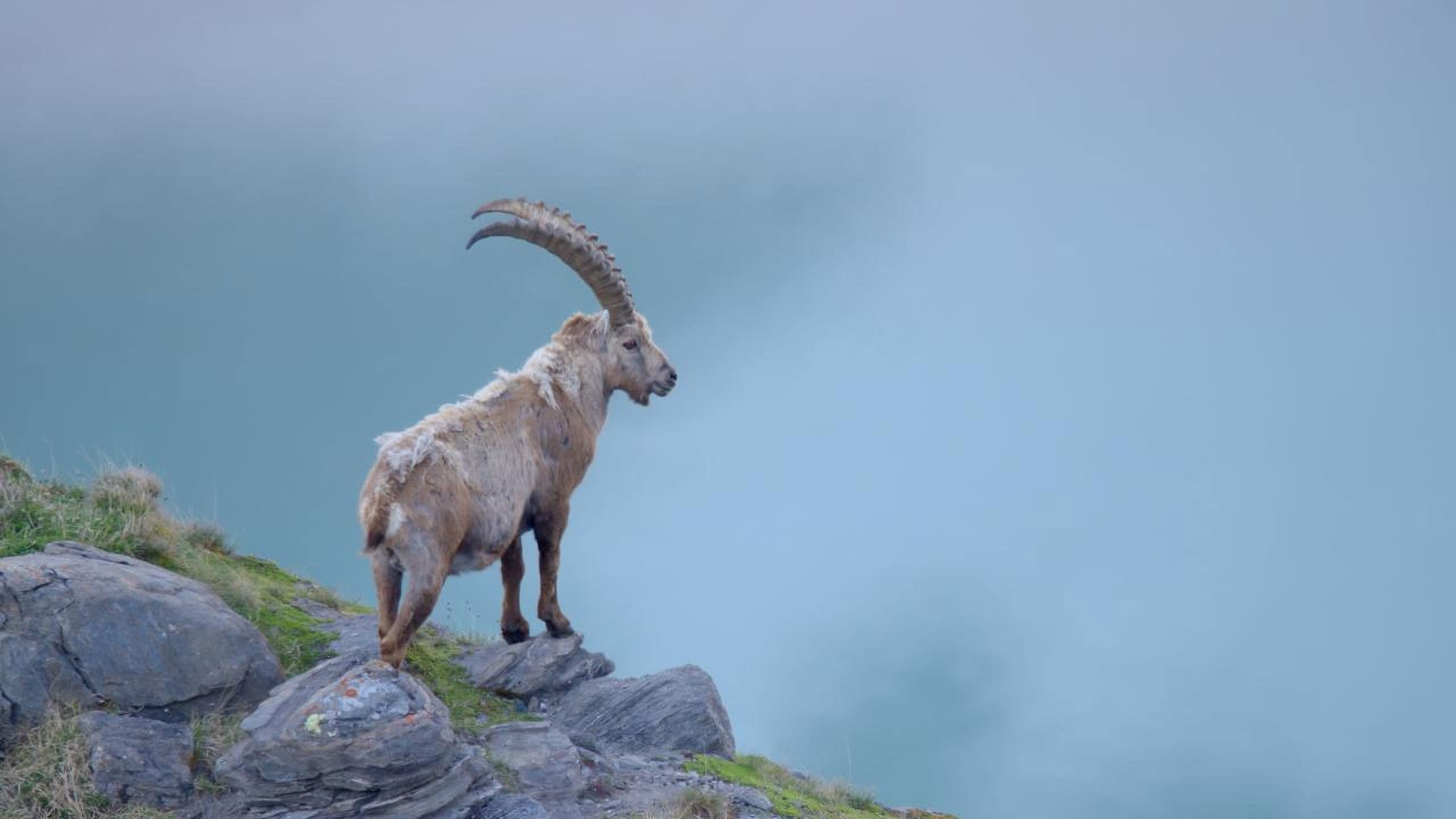 Naturerbe Österreich - Die Nationalparks