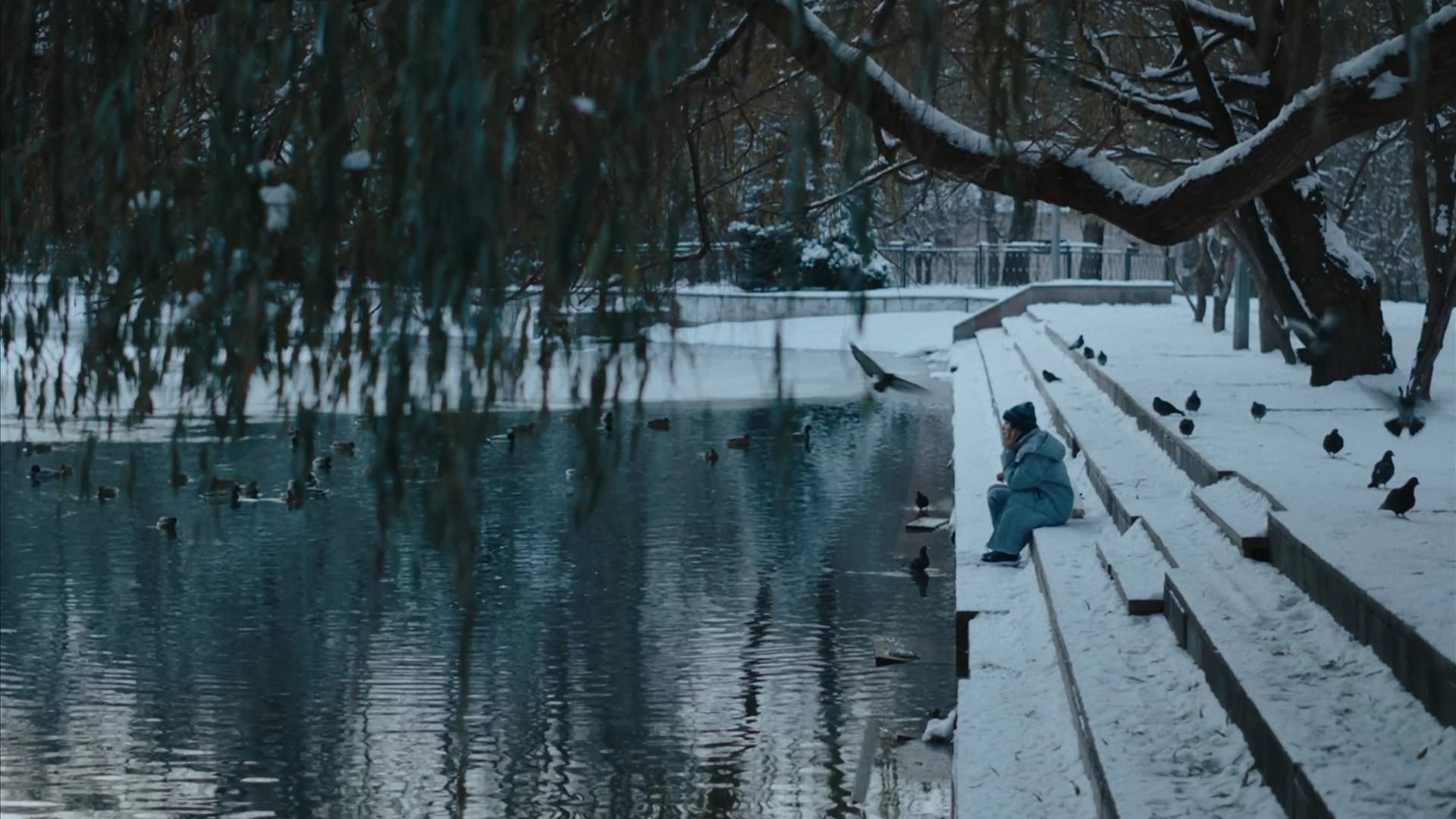 What have you done, Zarina?