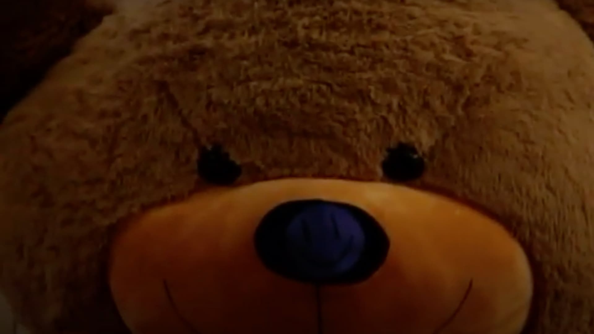 Steven's Last Night in Town