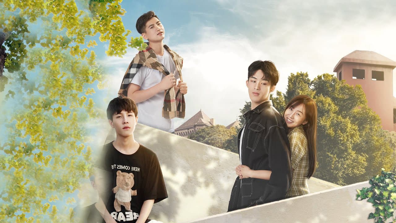 时光旧巷的我们