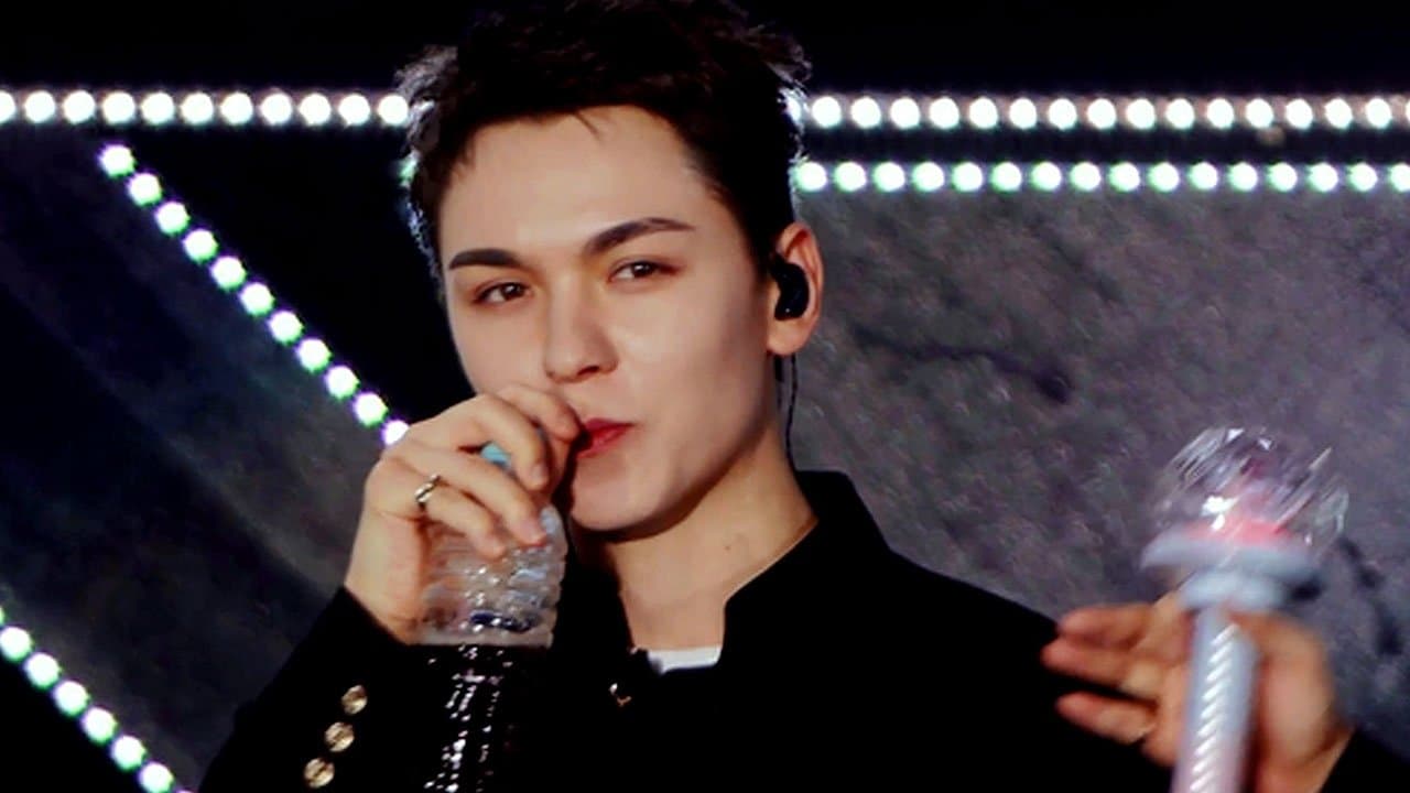 SEVENTEEN 2025 JAPAN FANMEETING 'HOLIDAY'