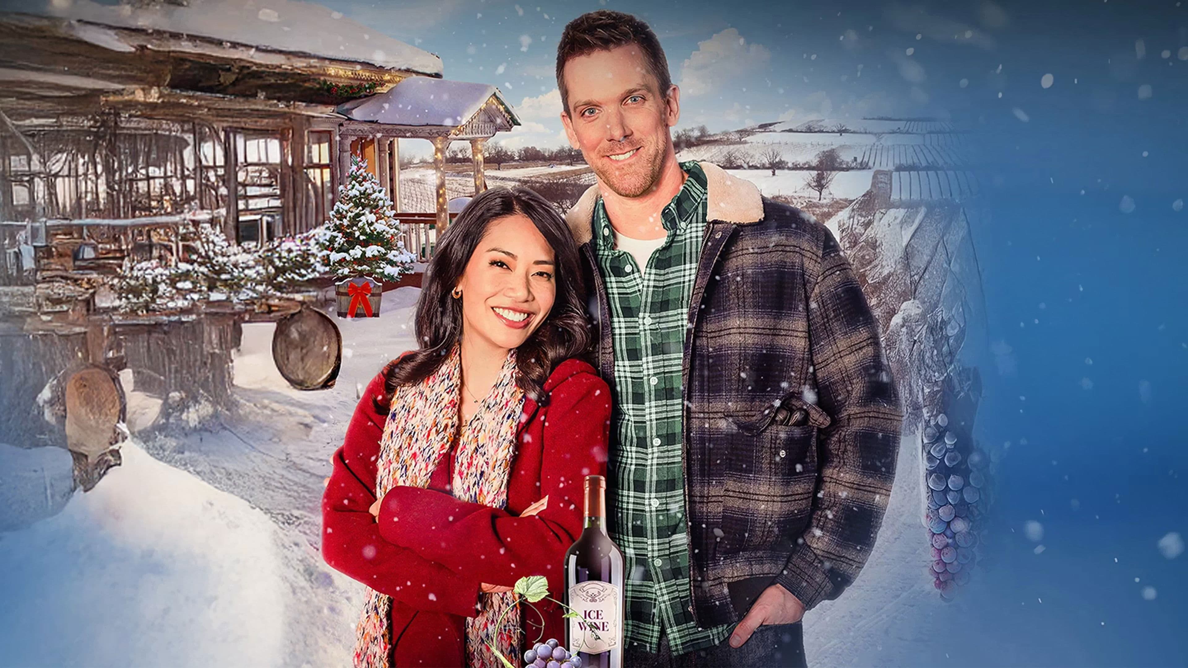 A Vineyard Christmas