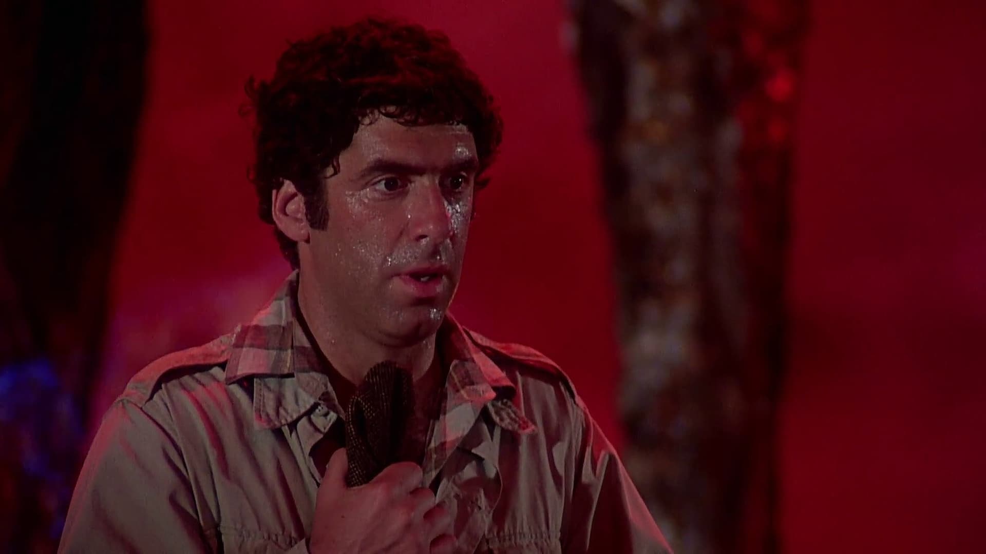 Diavolul și Max Devlin