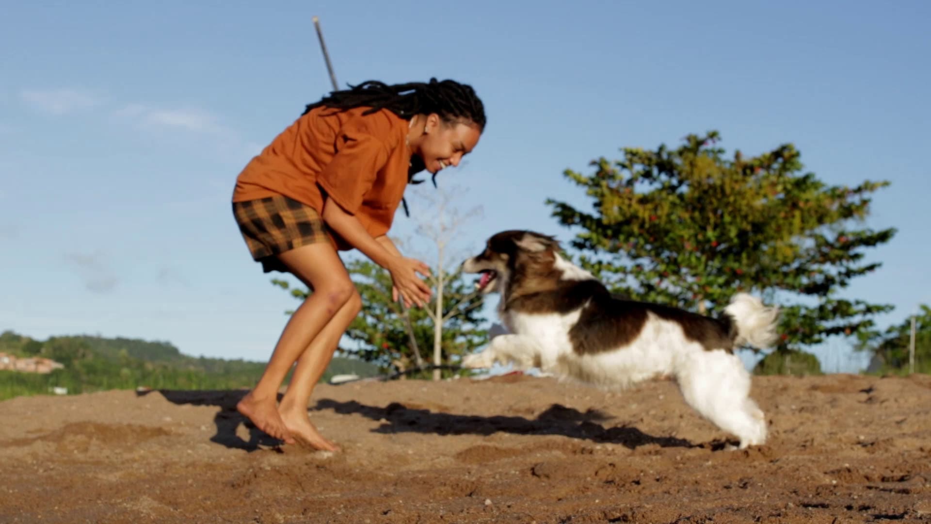A Sinfonia de Beethoven