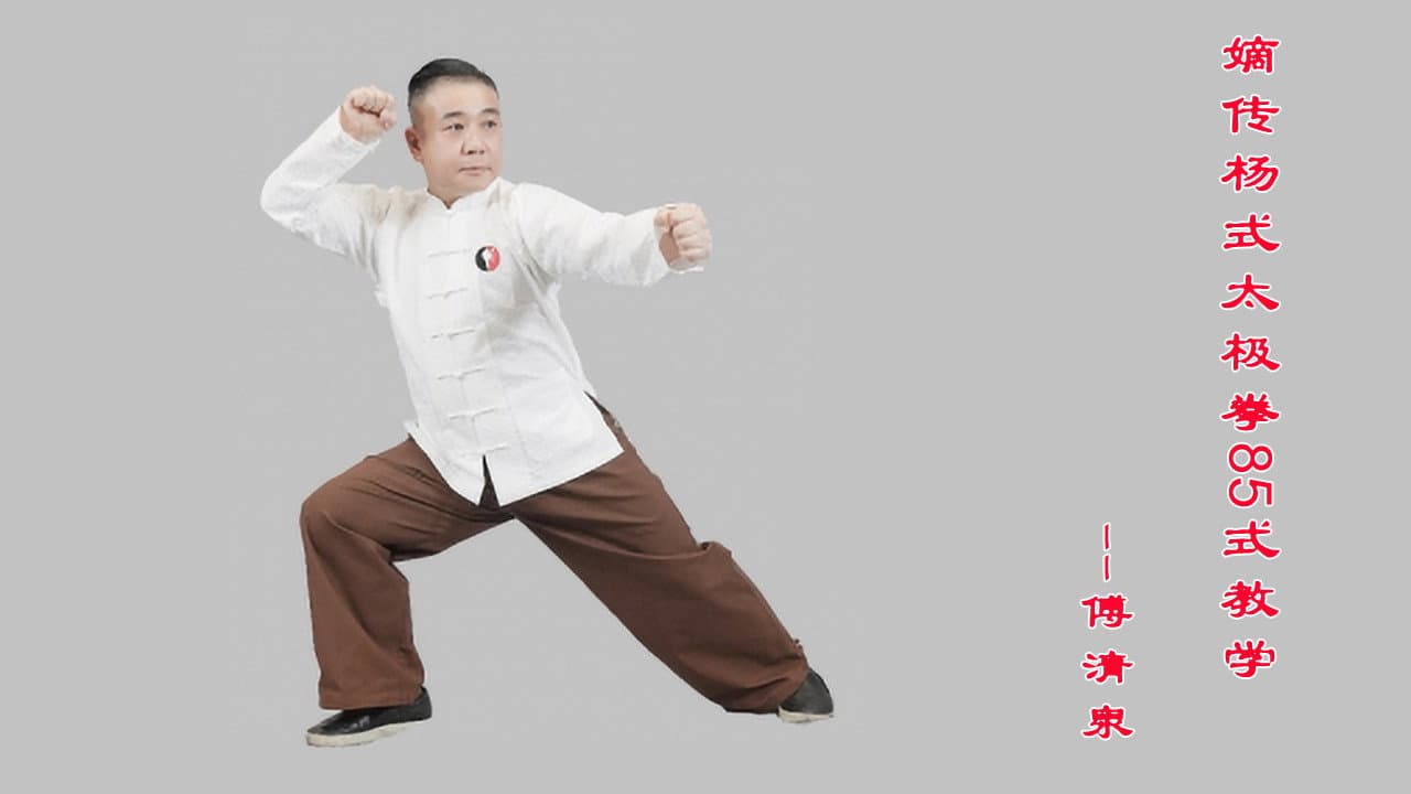 嫡传杨式太极拳