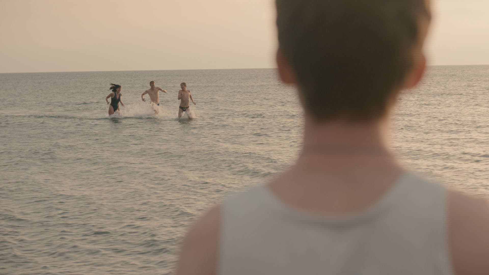 Bjørn på Langeland