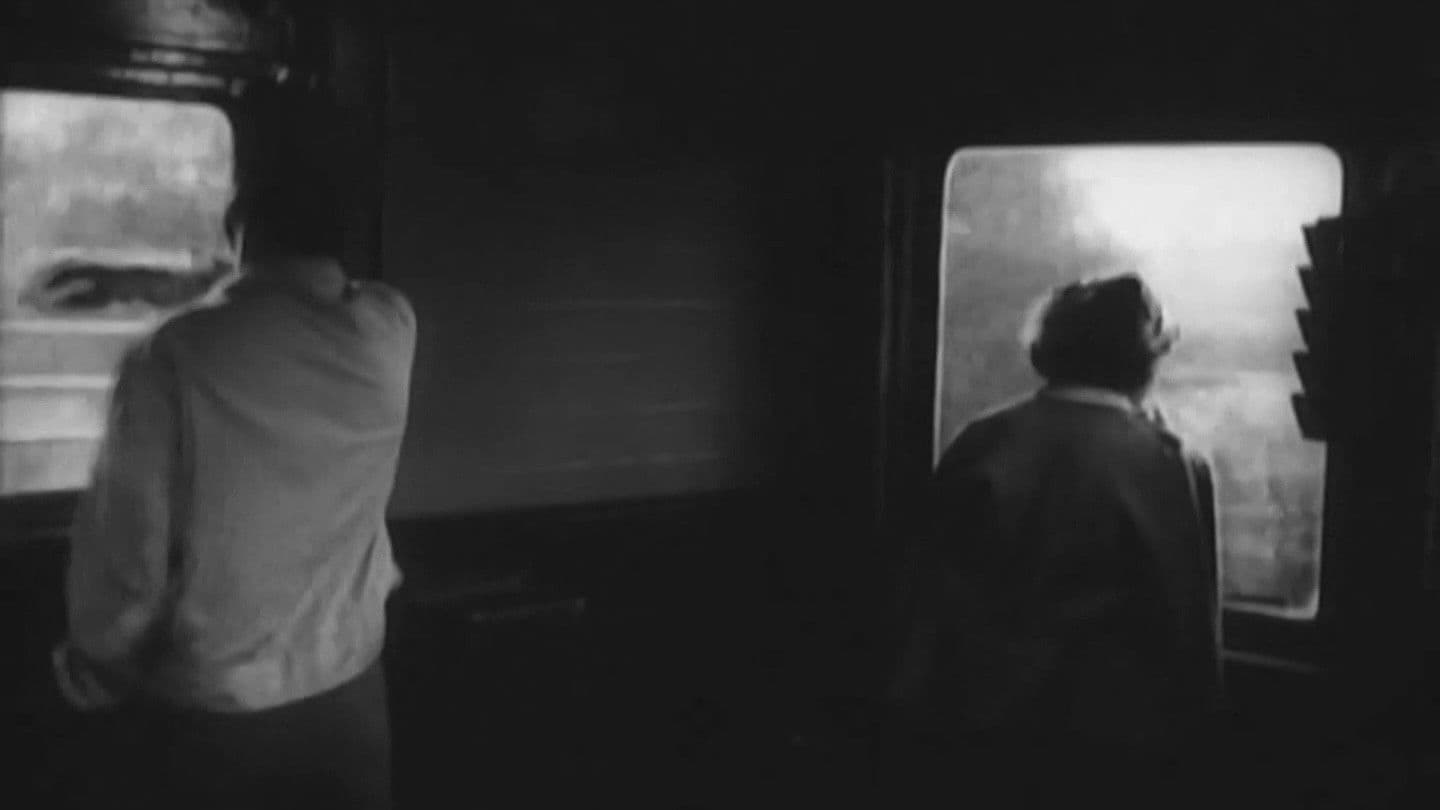 Весенний дождь