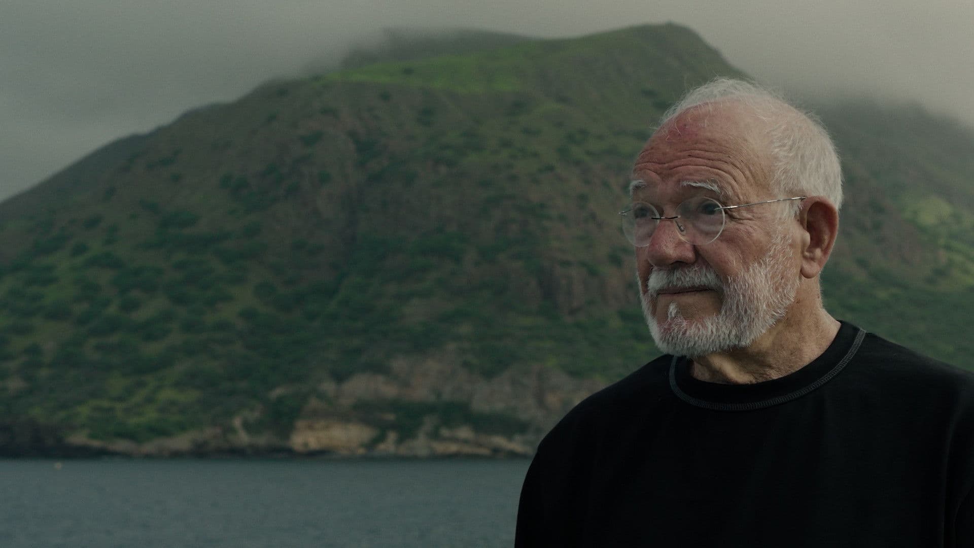 Chão Verde de Pássaros Escritos