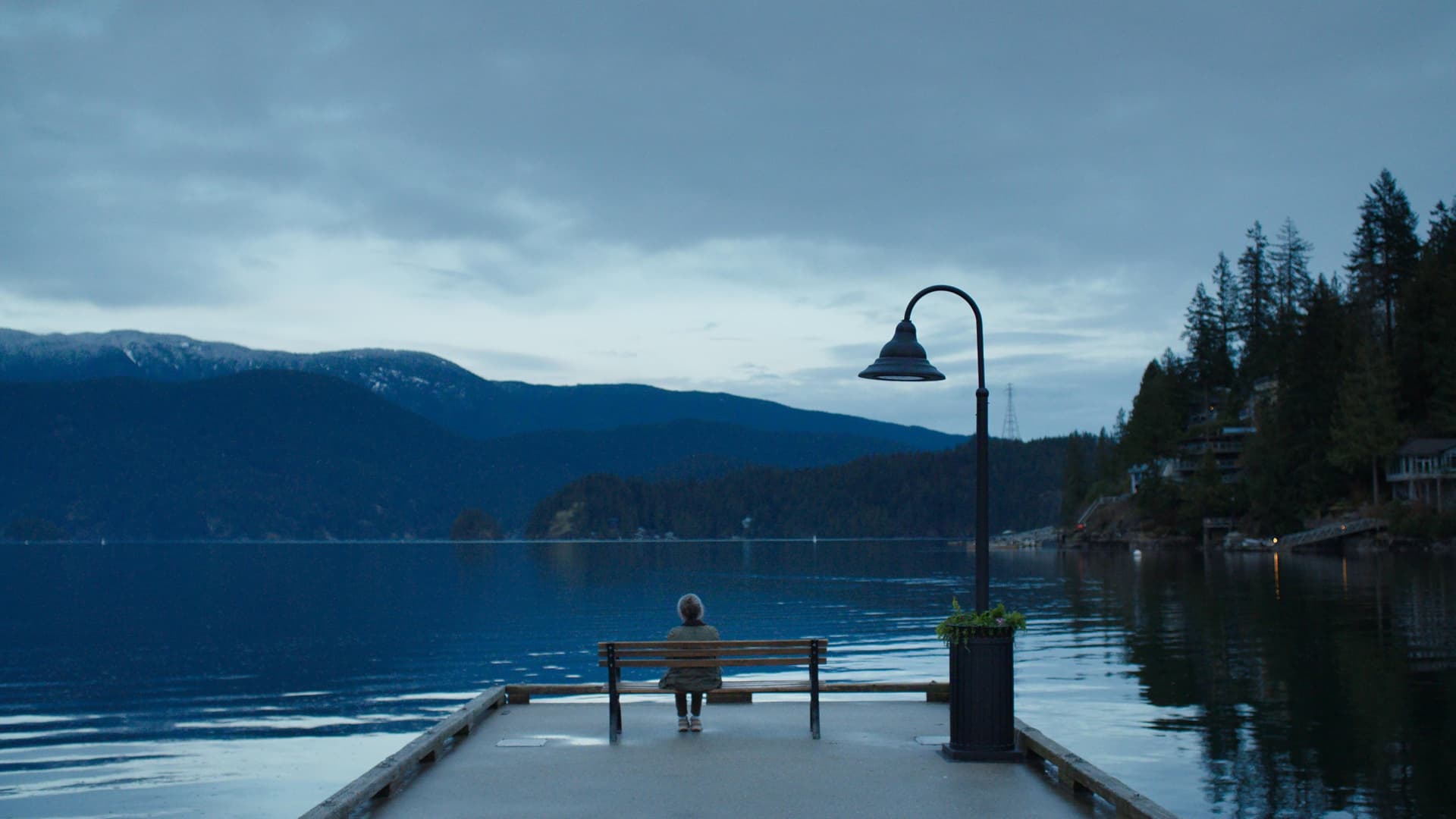 Remarkably Bright Creatures