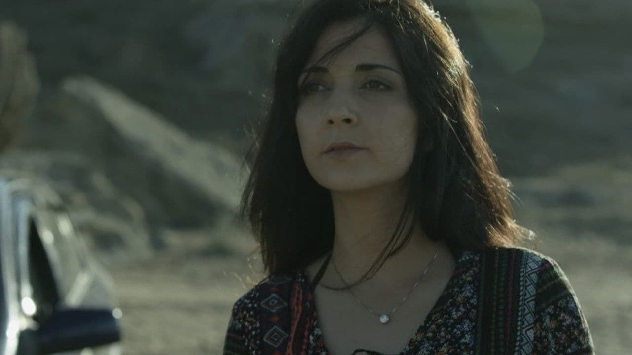 Dəniz suyu içən it