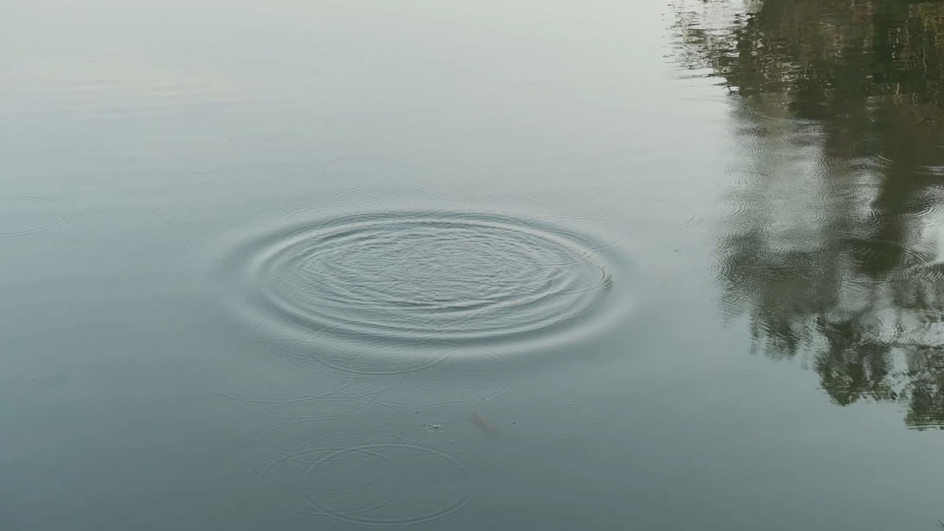 ลายหินอ่อน