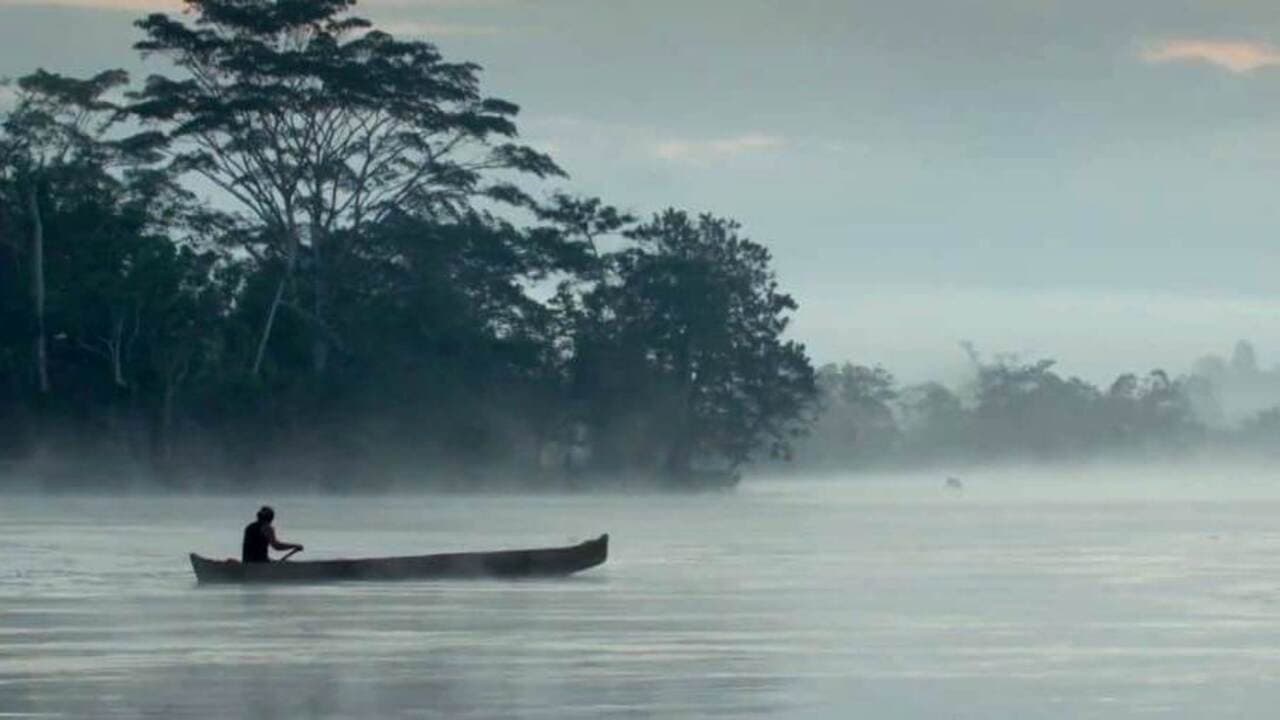Los cuentos del rio