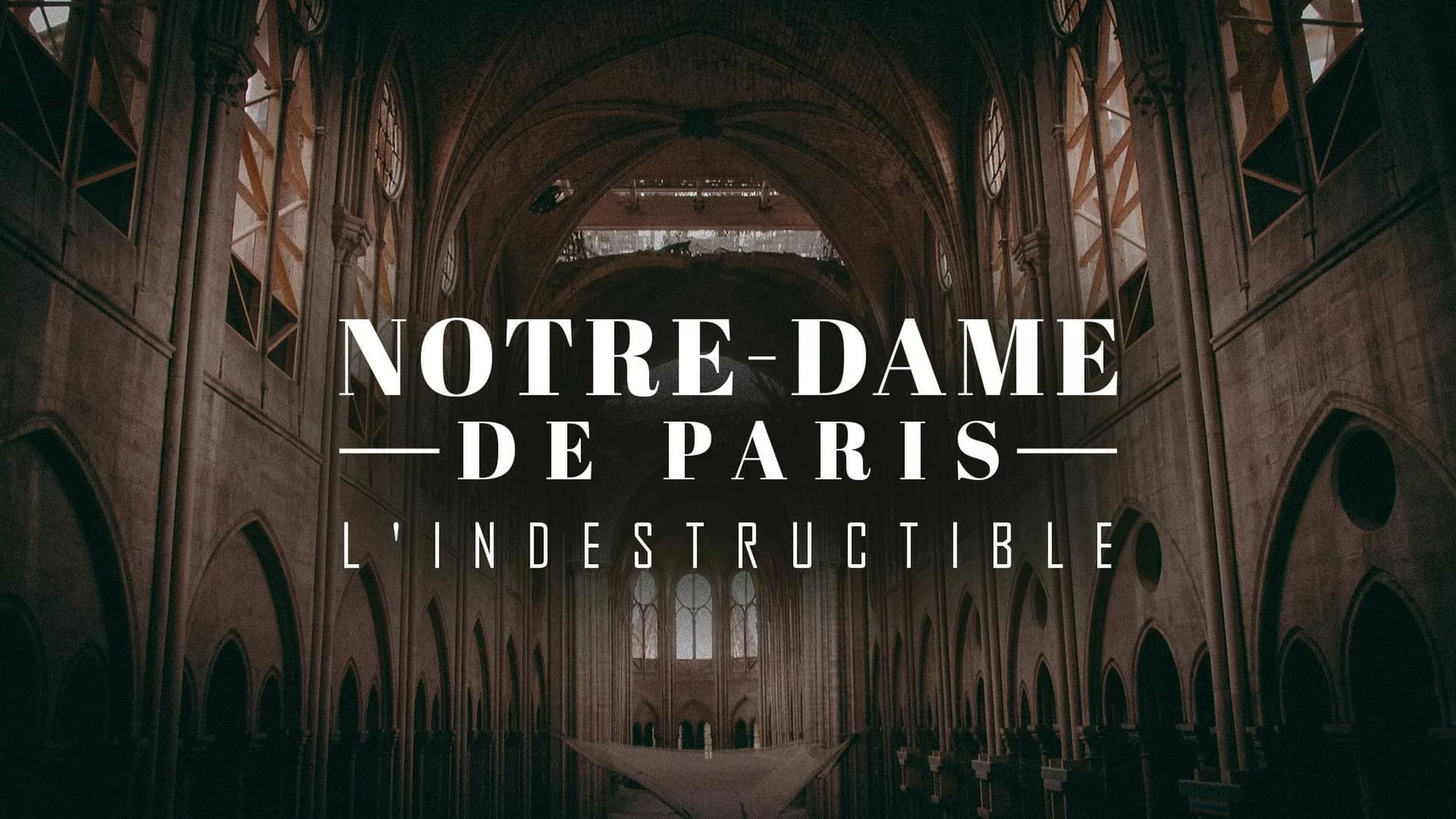 Notre-Dame de Paris, l'indestructible