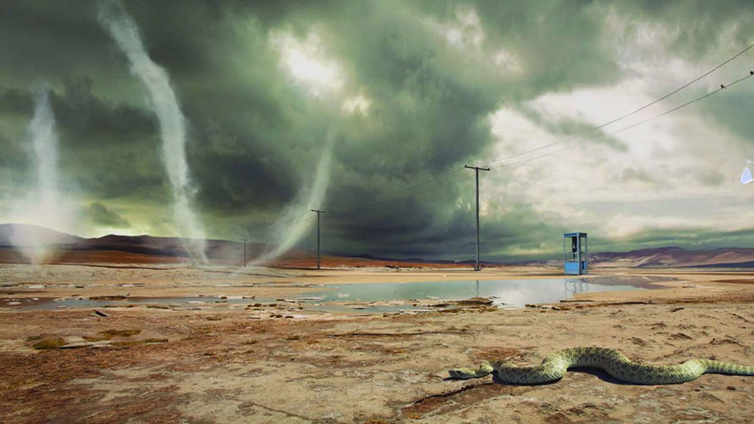 Rush: The Game Of Snakes & Arrows