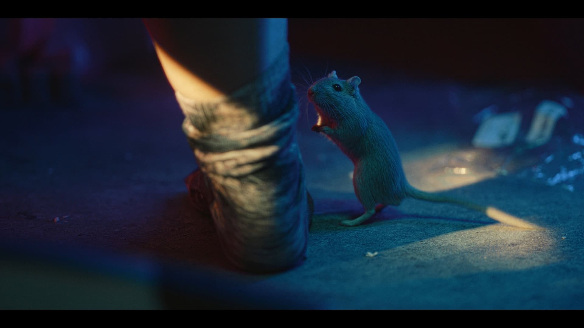 Damsel in Geekstress