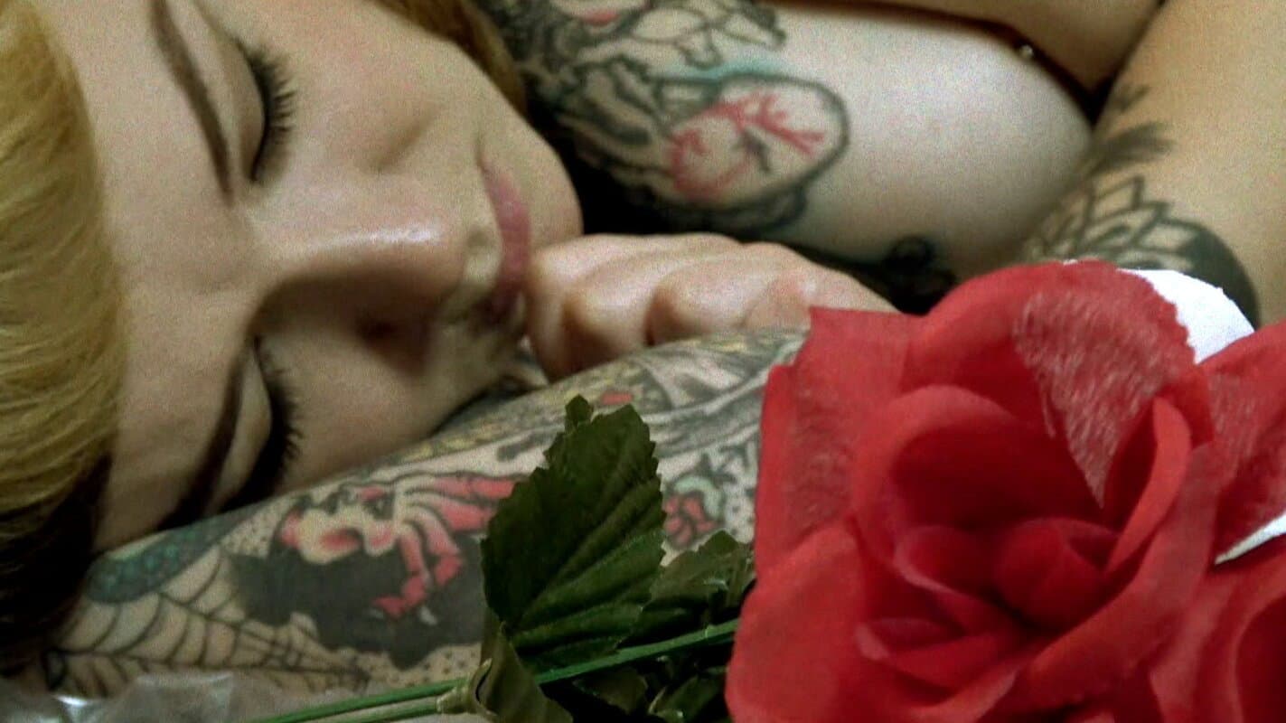 The Odd World of Felicia Fisher