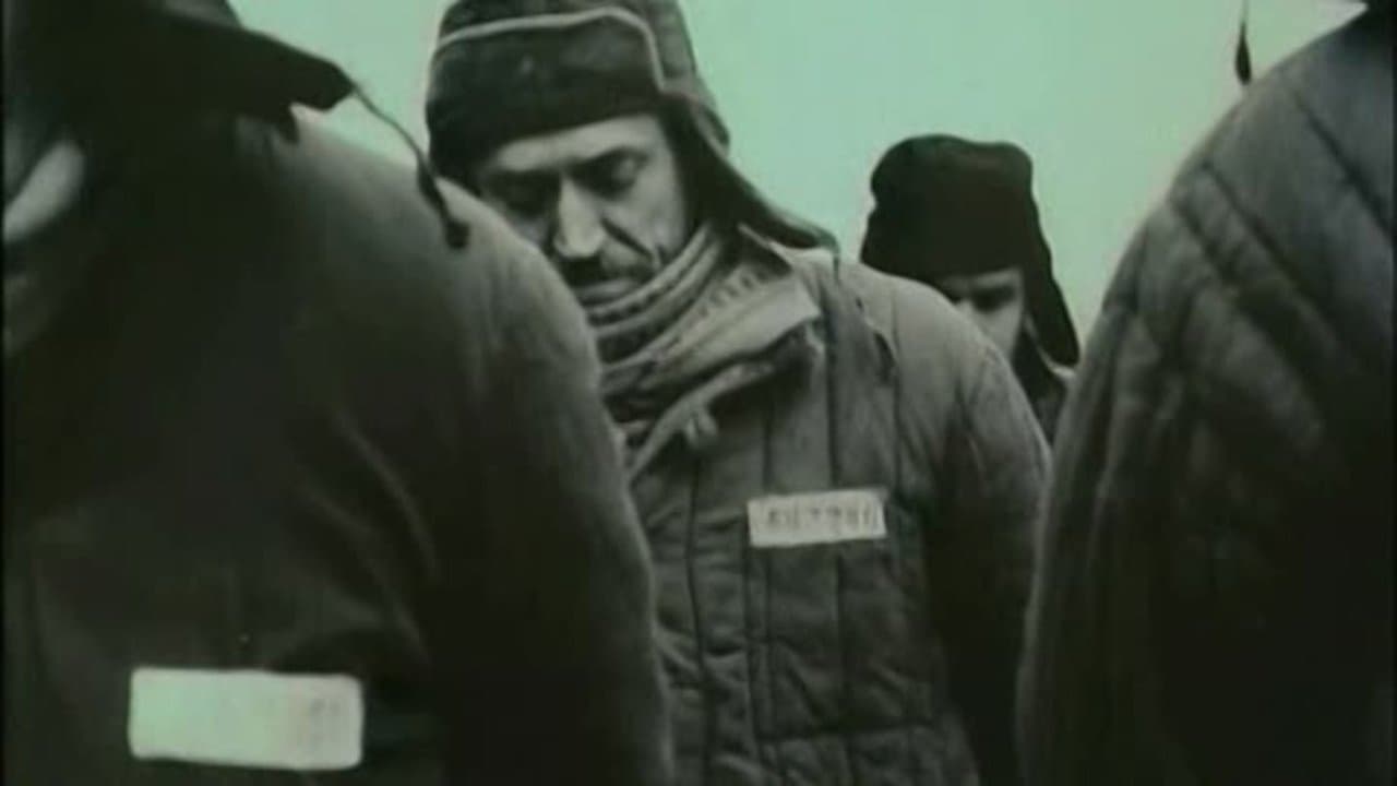 Верный Руслан (История караульной собаки)