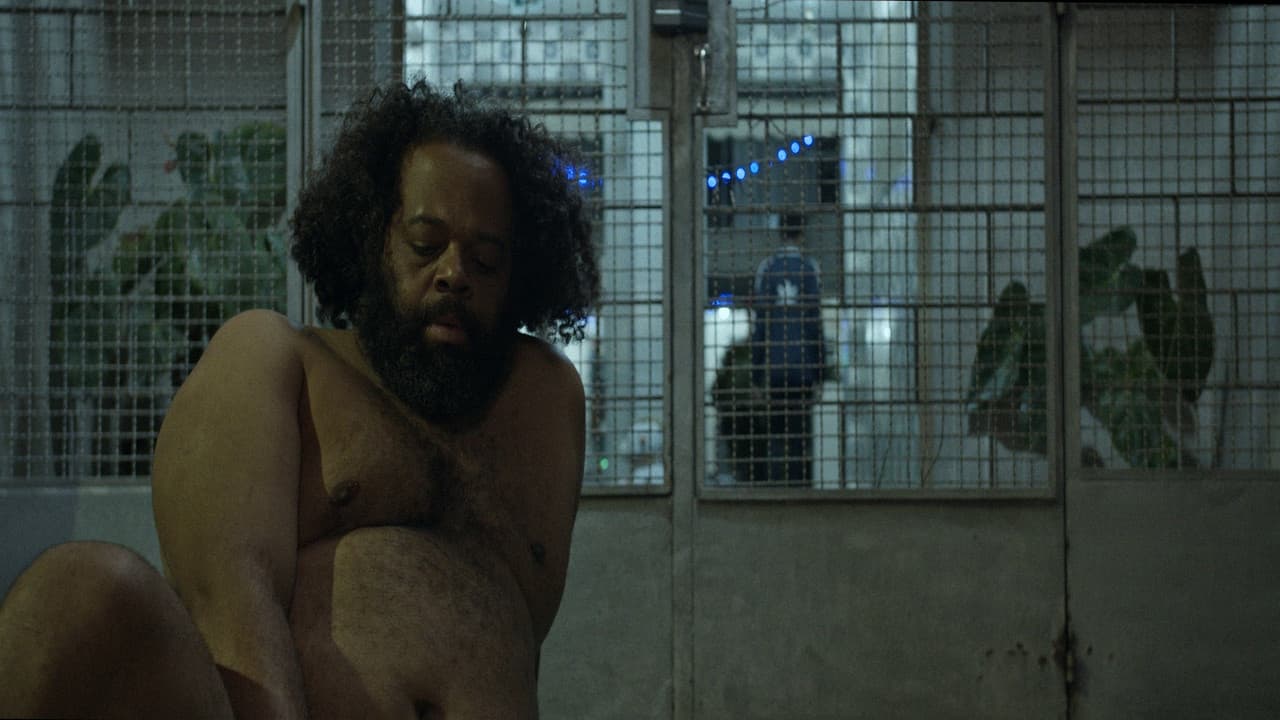 À noite todos os gatos são pardos