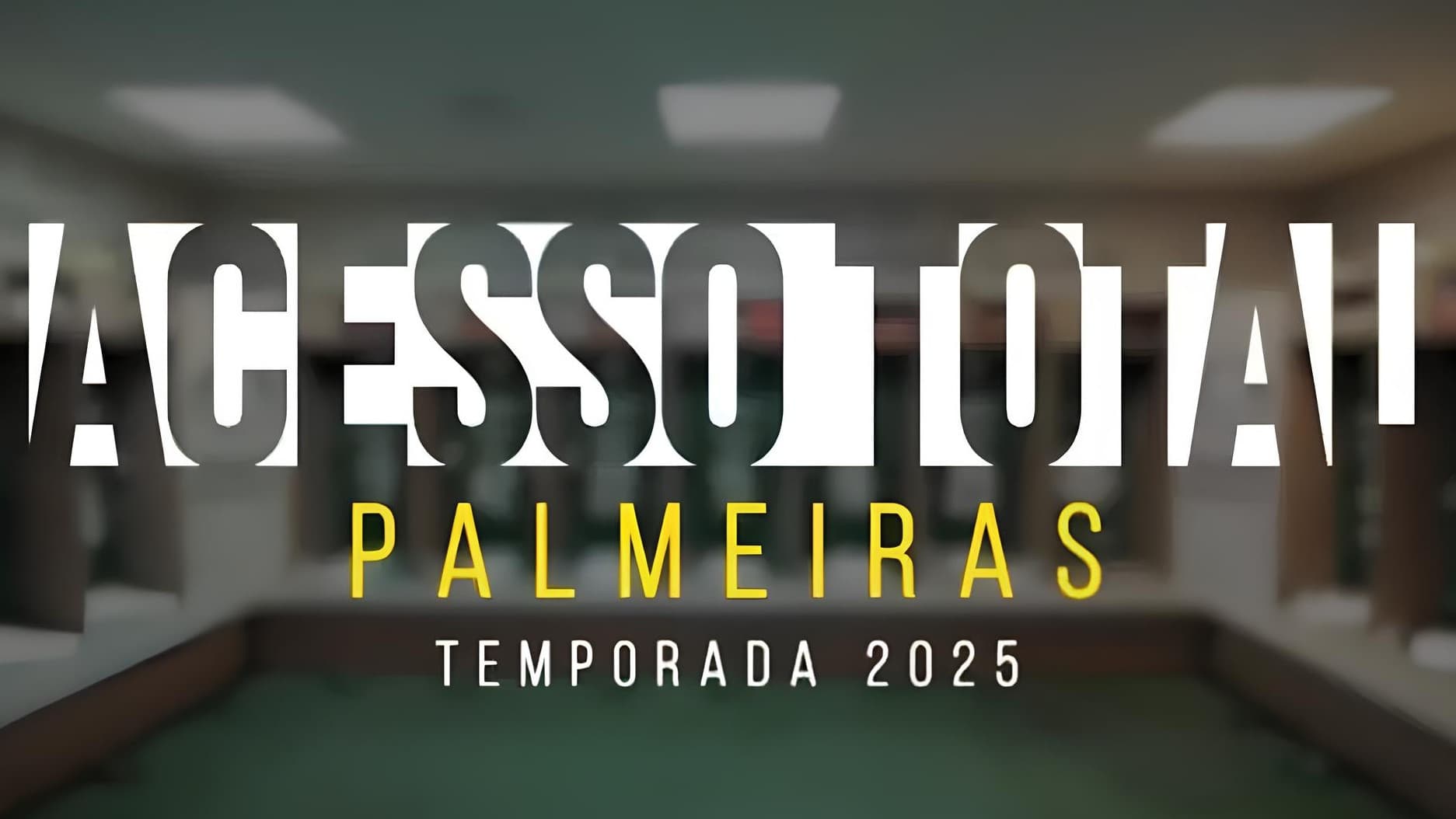 Acesso Total: Palmeiras