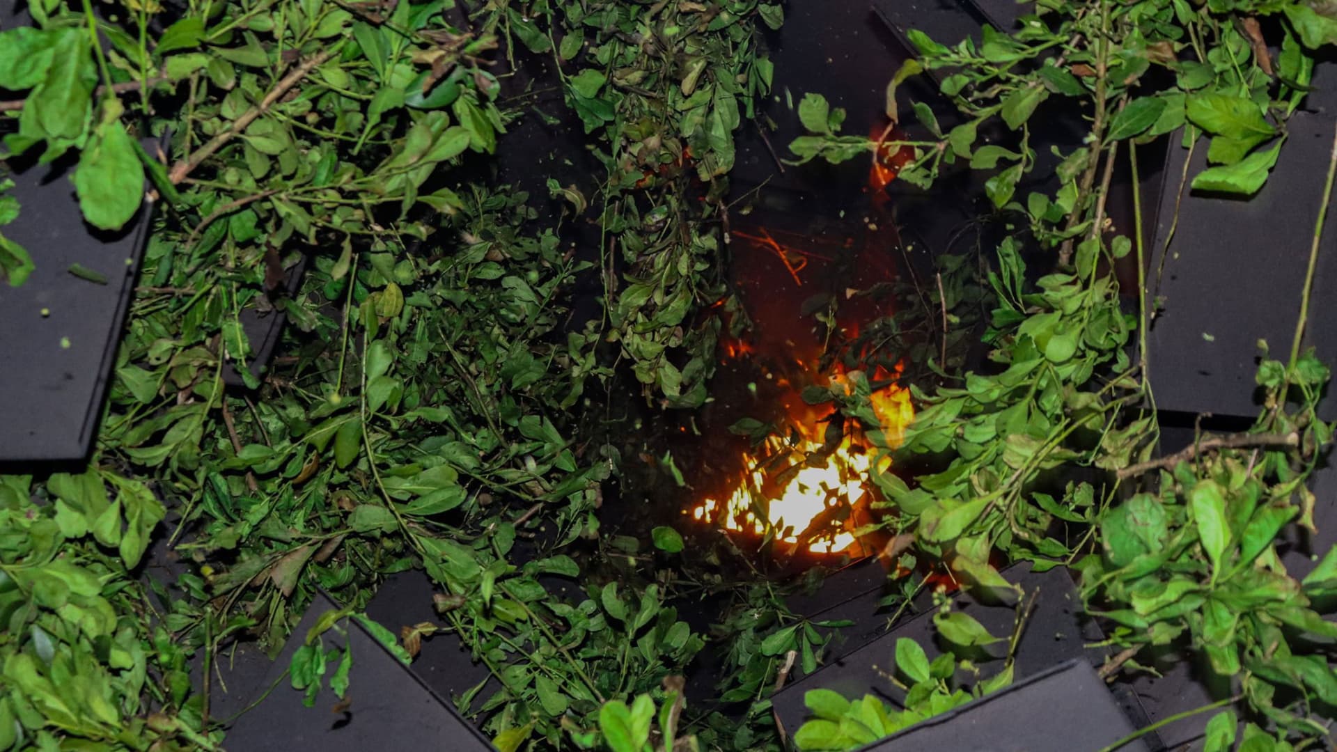 Primeira FEIMATE: Feira da Erva-Mate e Processo Produtivo da Erva-Mate - Historiando em Novo Barreiro