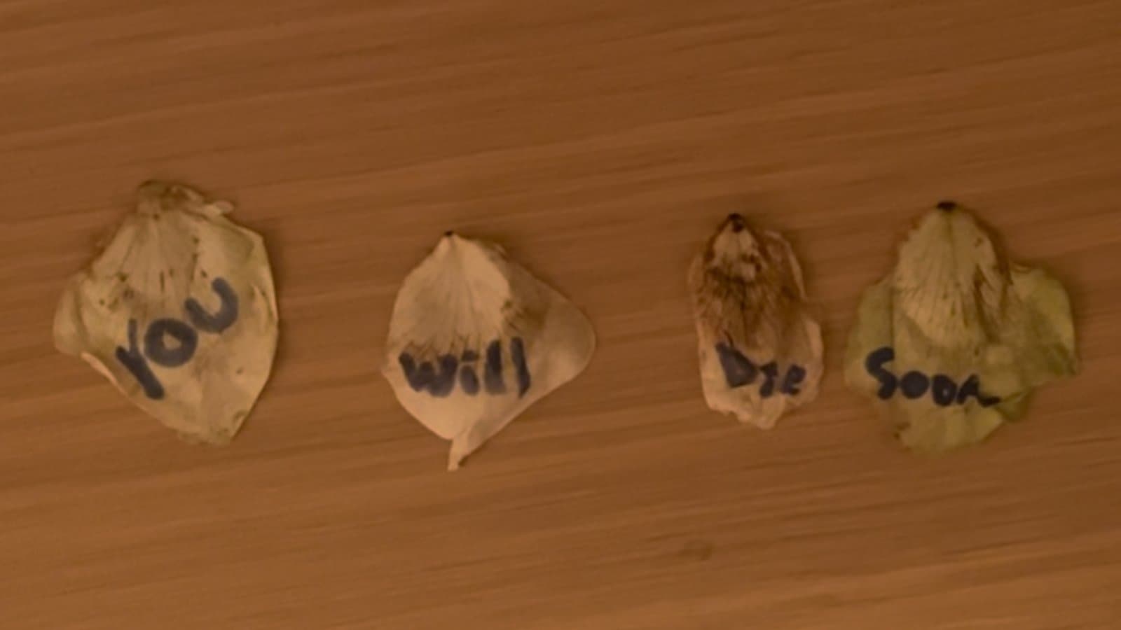 Cod Liver Oil and Milk