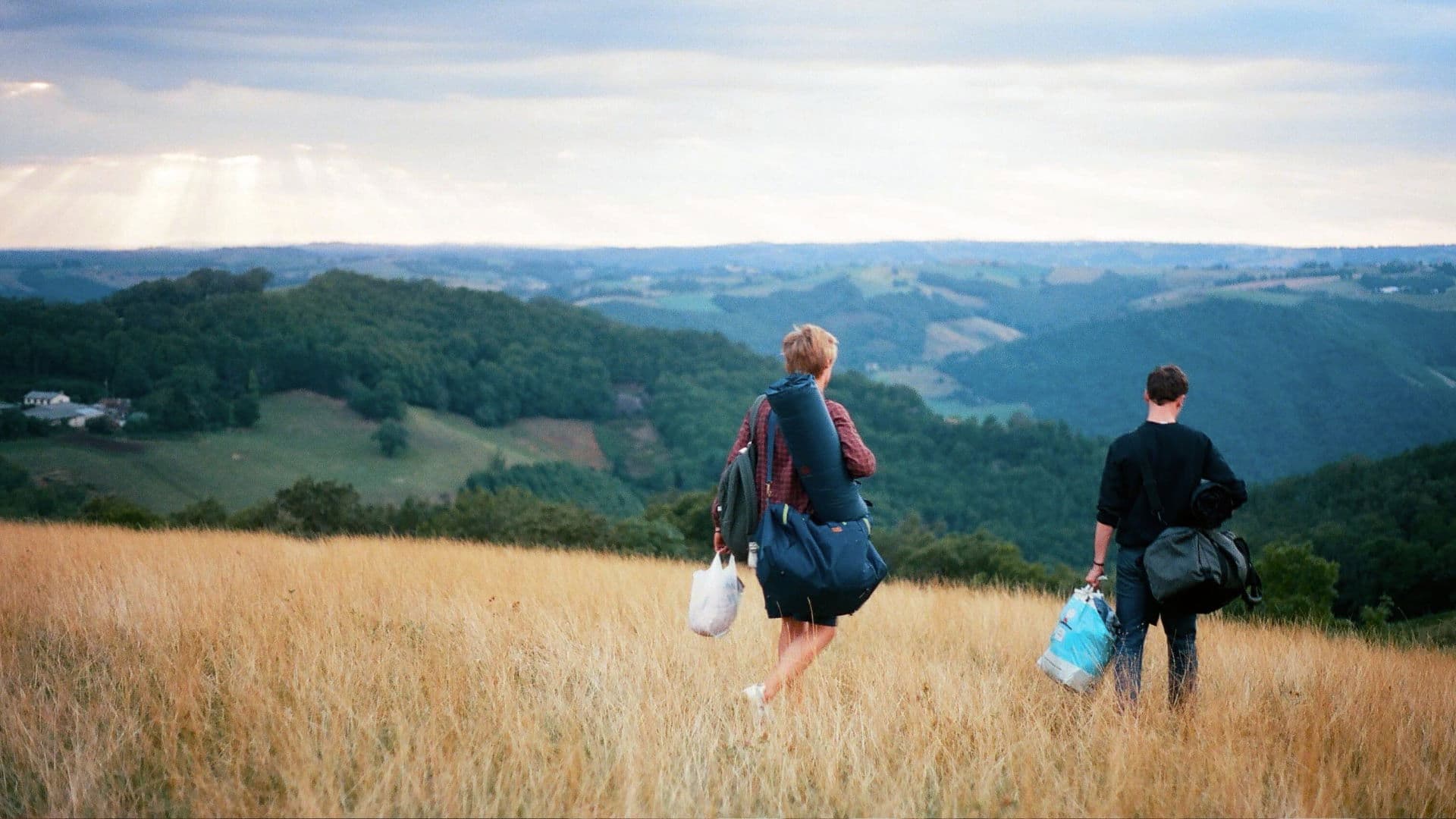 Chiar și văcarii plâng
