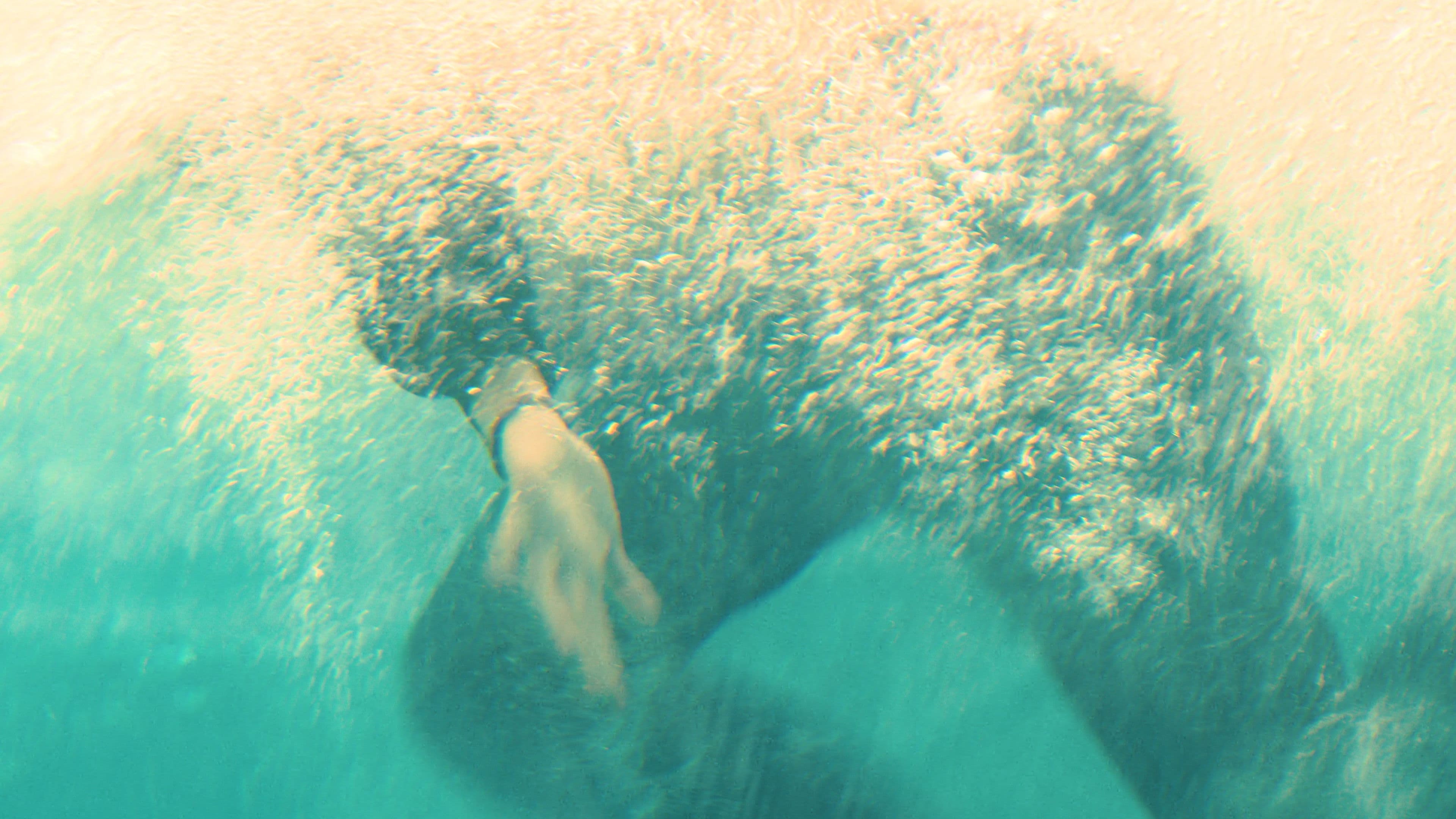 Me quiere, no me quiere