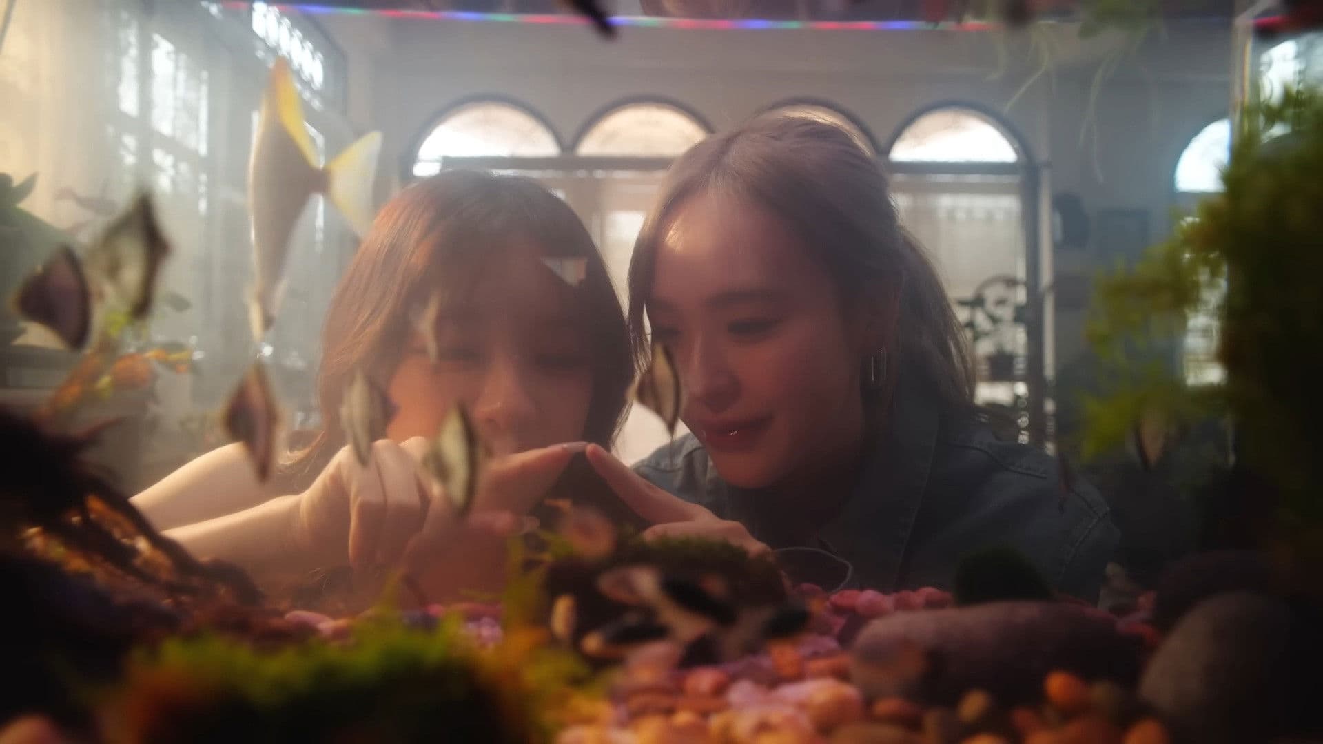 ให้รักกังวานในใจ