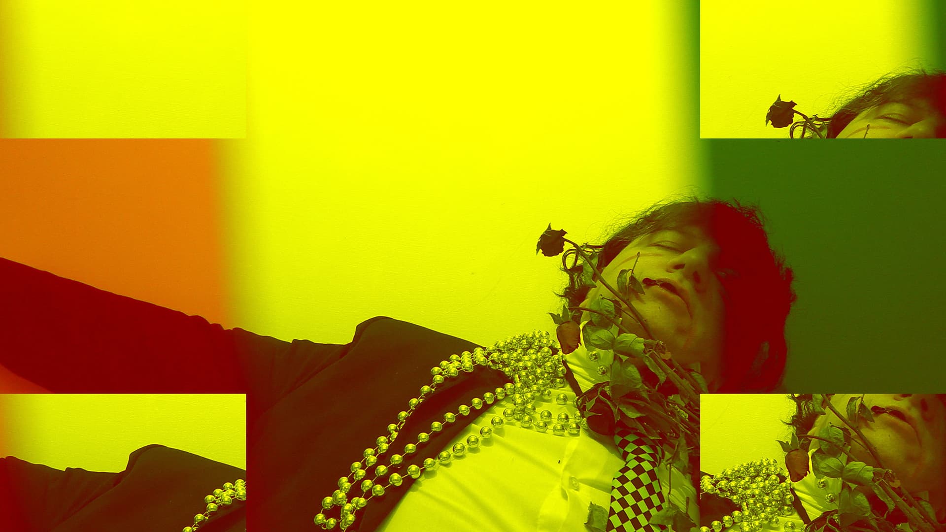 Sono sfiorite le rose