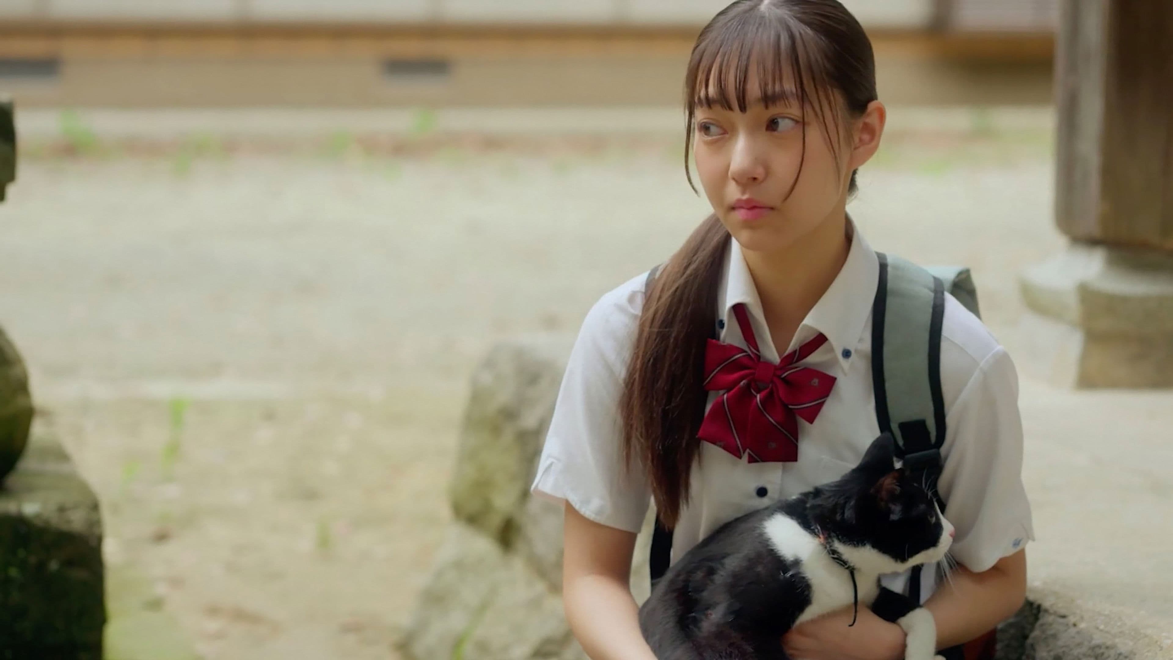 猫と私と、もう1人のネコ