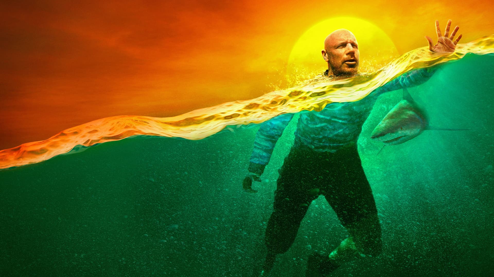 How To Survive A Shark Attack