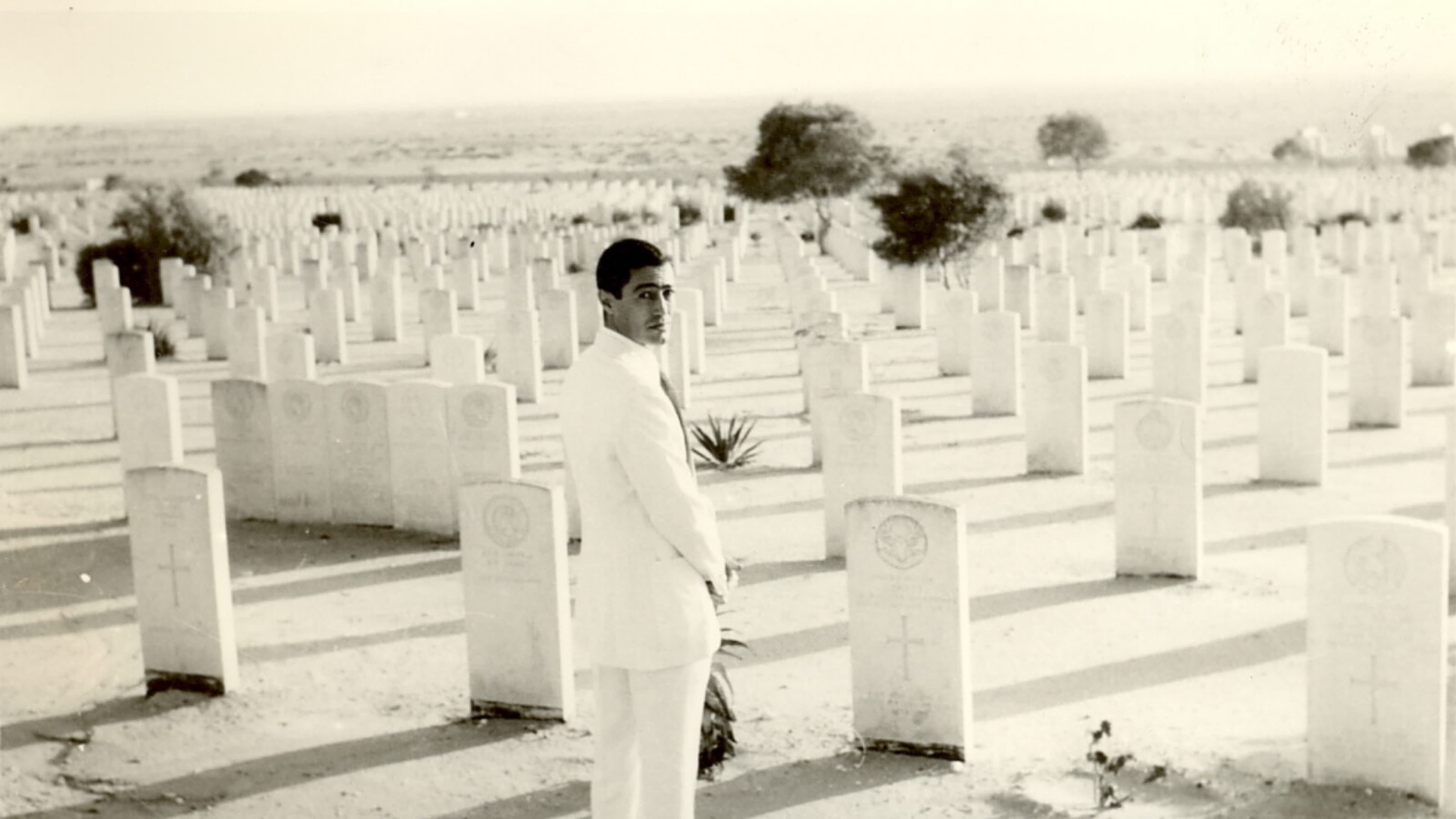 Alexandria: Filme și război